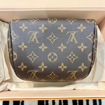 Louis Vuitton Authentic Brand New Louis Vuitton Mini Bumbag Size ONE SIZE - 5 Thumbnail