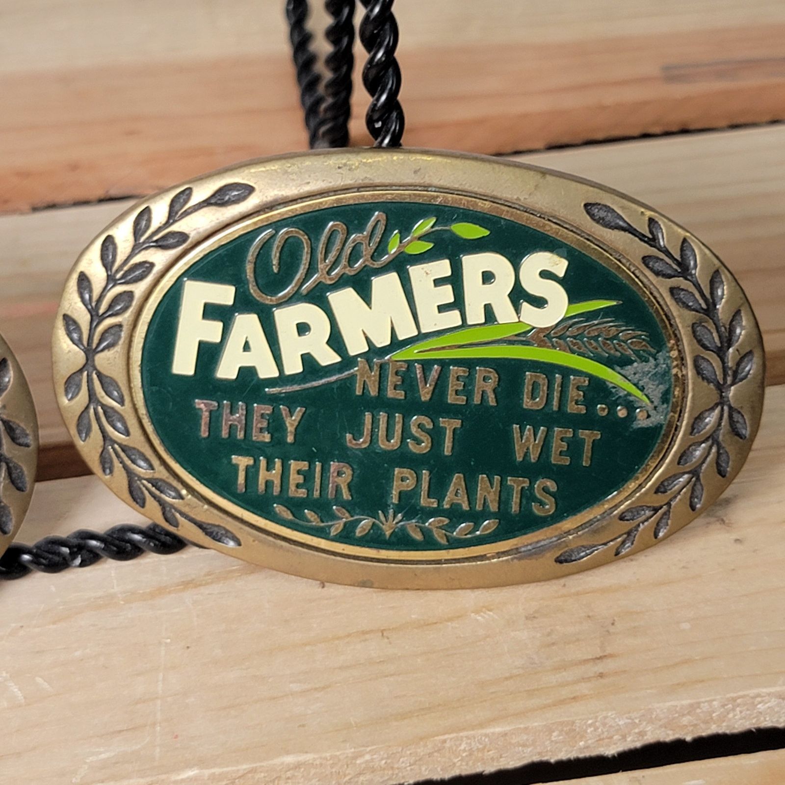 Other Set of 2 VTG Brass Belt Buckles: Farmers & Gardners (1980) Size ONE SIZE - 3 Thumbnail