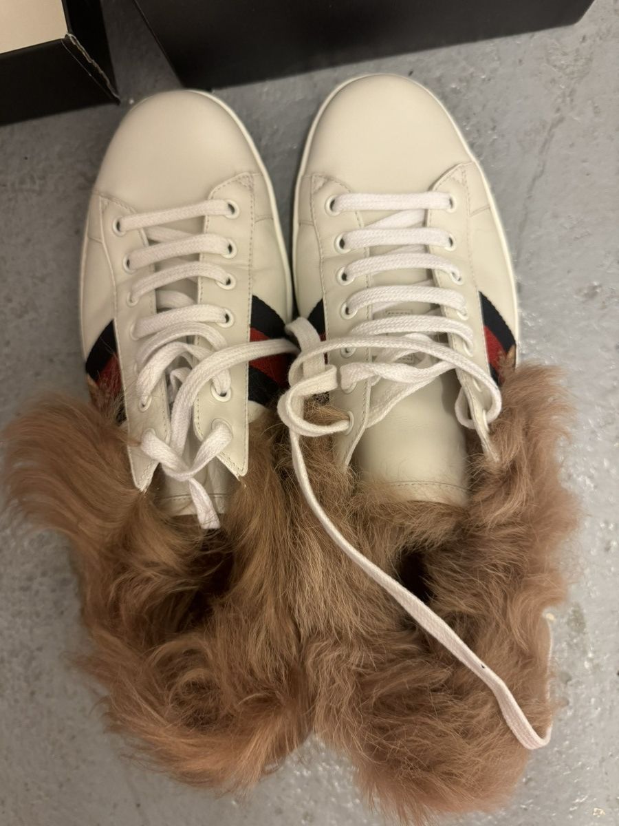 Gucci Gucci Ace Fur Sneaker Size US 11 / EU 44 - 9 Thumbnail