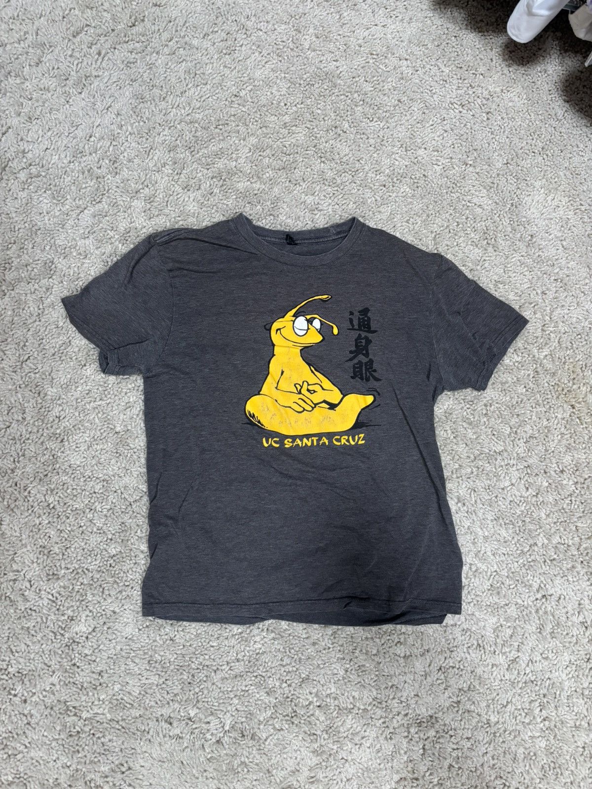 Other Vintage UC Santa Cruz grey slugs shirt - Size: Medium Size US M / EU 48-50 / 2 - 1 Thumbnail