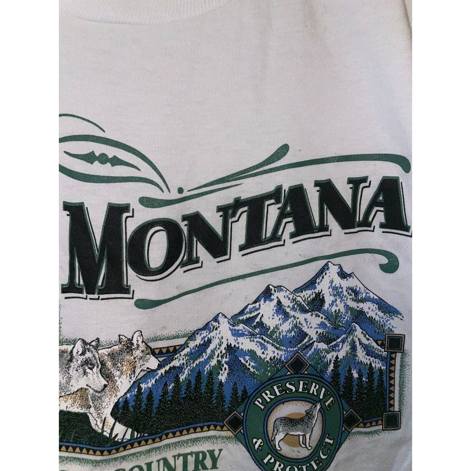 Jerzees Vintage Montana Shirt Big Sky Country Preseve Nature Tee 90s Size US S / EU 44-46 / 1 - 4 Thumbnail