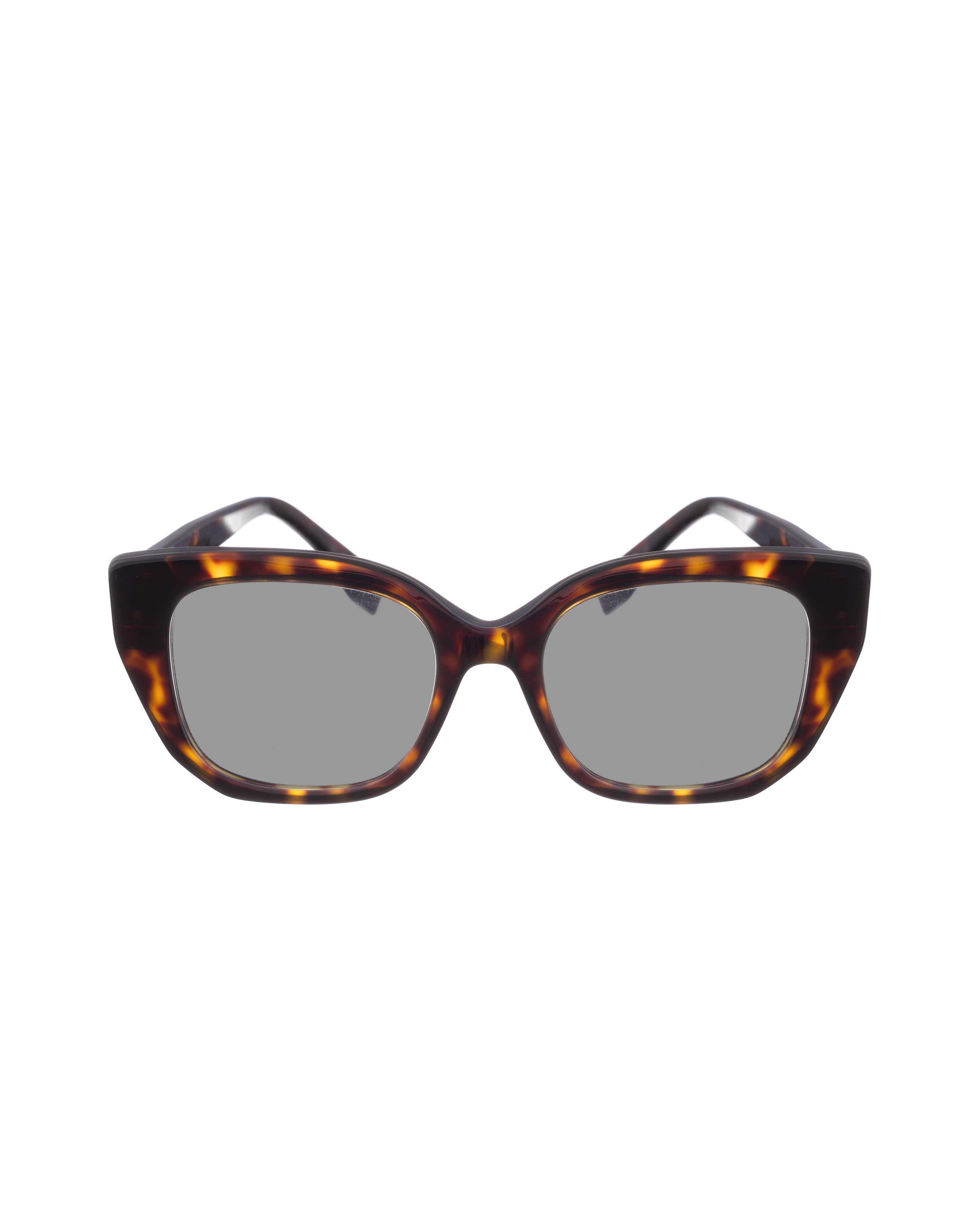 Fendi 00s Oversized Havana Classic Sunglasses
