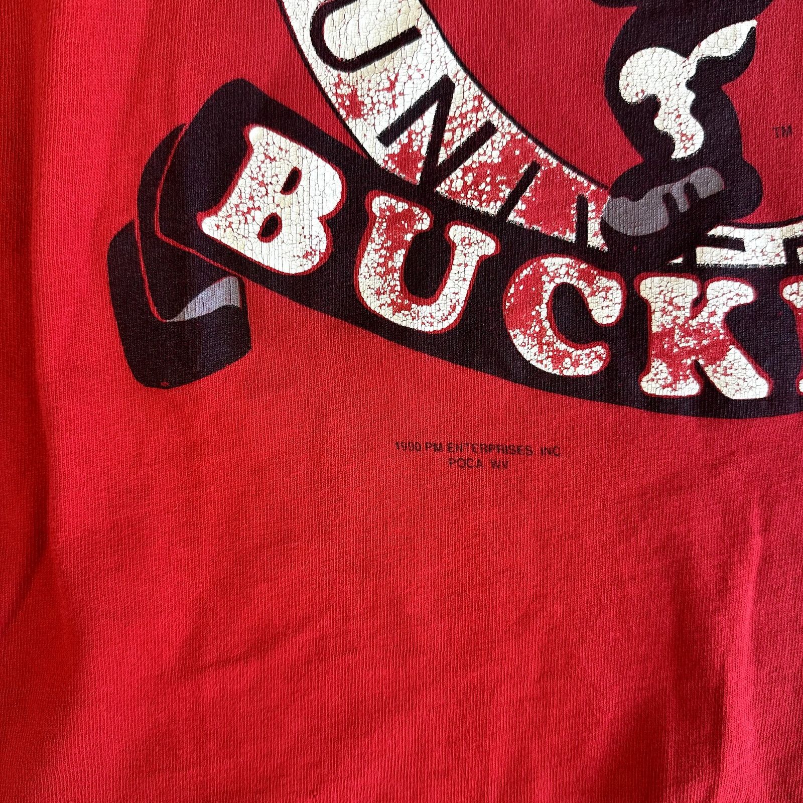 Fruit Of The Loom Vintage Ohio State University Shirt Buckeyes Size Large 90s Size US L / EU 52-54 / 3 - 3 Thumbnail