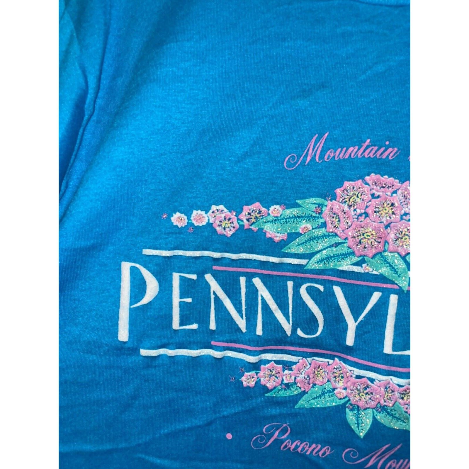 Jerzees Vintage Pocono Mountains Shirt Mountain Laurel Pennsylvania Size US L / EU 52-54 / 3 - 3 Thumbnail
