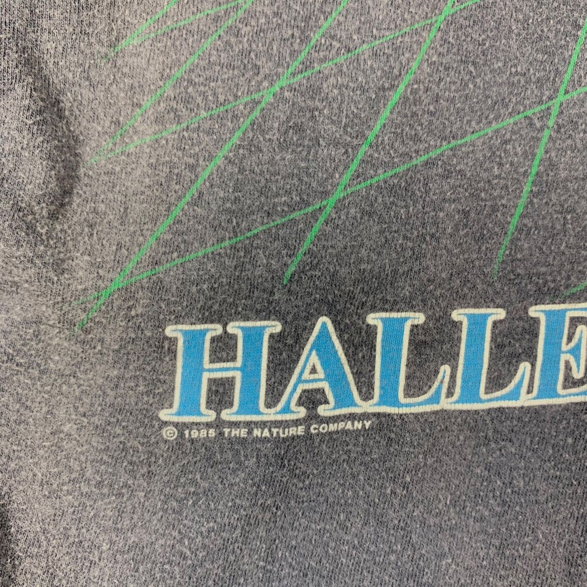 Hanes × Vintage Vintage Hanes HALLEY’S COMET printed tee Size US M / EU 48-50 / 2 - 9 Thumbnail