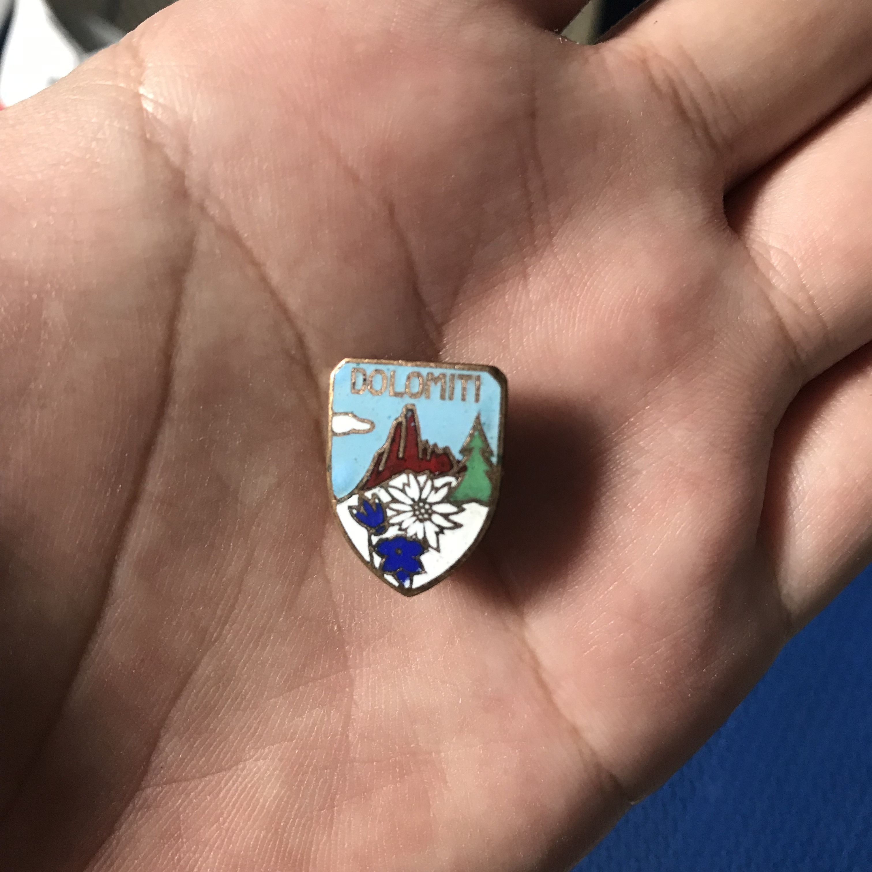 Vintage Italian Dolomite recreation of mountain flowers Pin Enamel Size ONE SIZE - 2 Thumbnail