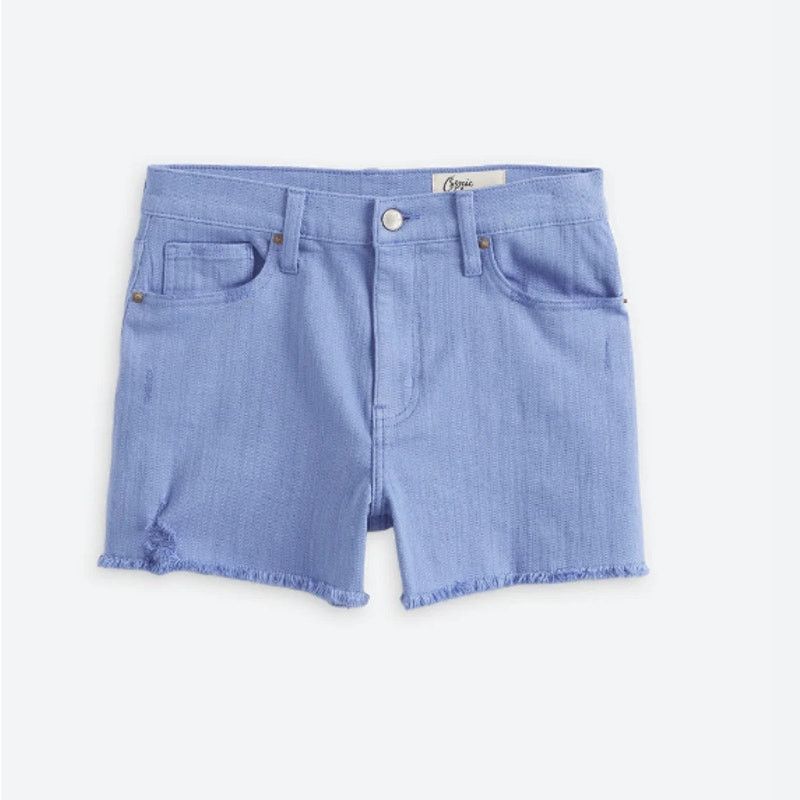 Other Winston High Rise Fray Hem Distressed Shorts Stitch Fix Size 27" / US 4 / IT 40 - 11 Thumbnail