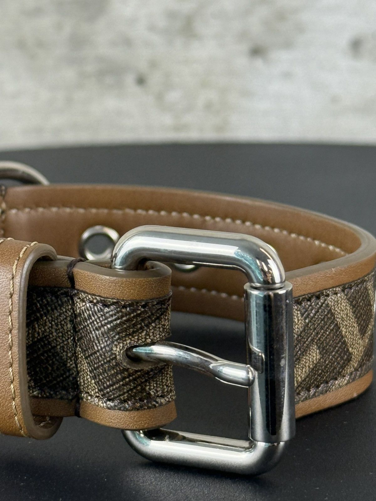 Fendi Dog Collar