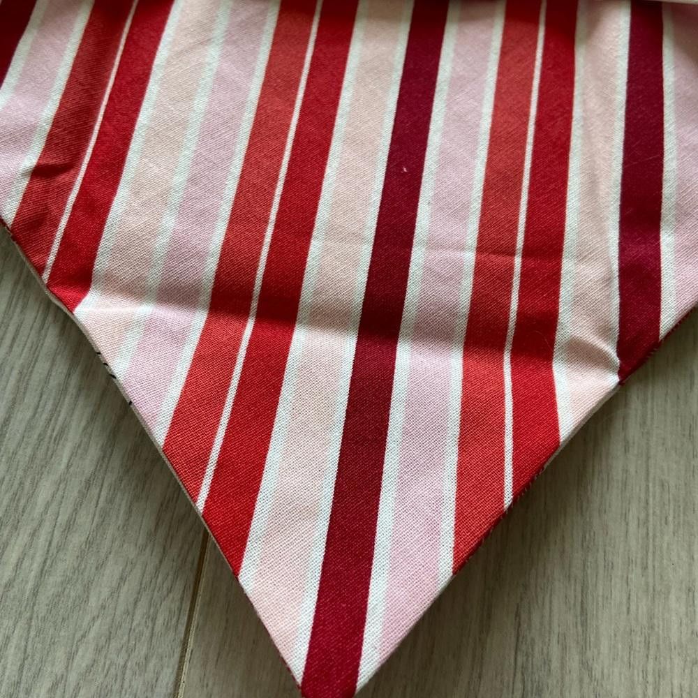 Designer Red Stripe and Letter Dog Bandana Size ONE SIZE - 3 Thumbnail