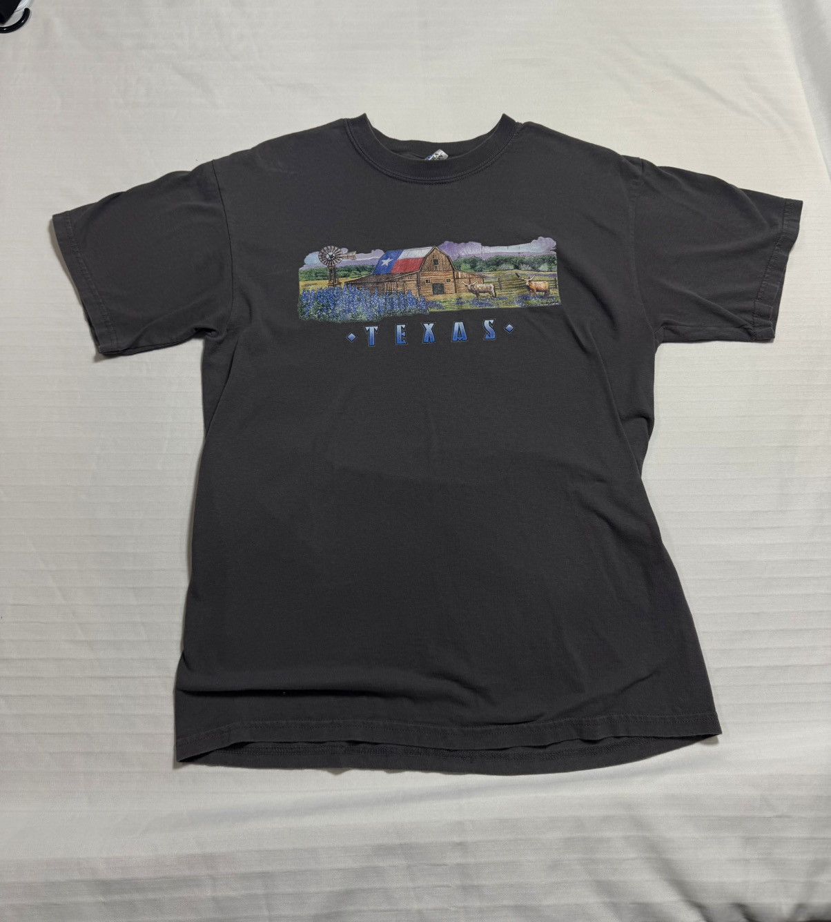 Other Vintage Texas tee Size US M / EU 48-50 / 2 - 1 Preview