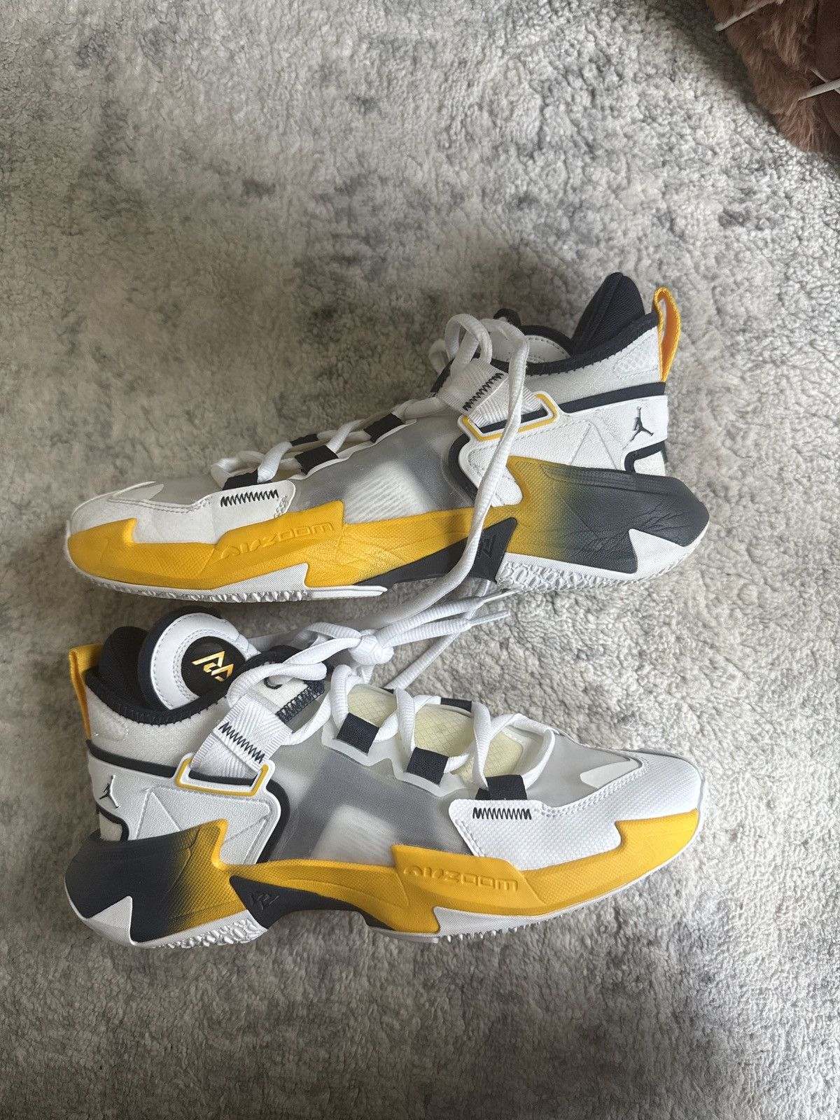 Jordan Brand Michigan PE’s Size US 8 / EU 41 - 1 Thumbnail
