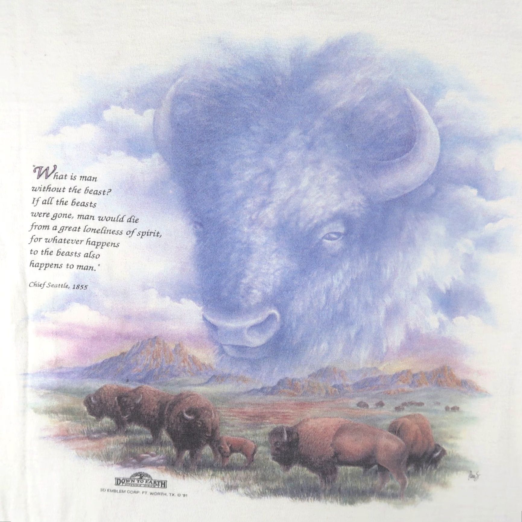Delta VINTAGE Delta Men’s T-Shirt Short Sleeve XL White 90s 3D Buffalo Bison Cartoon Nature Size US XL / EU 56 / 4 - 3 Thumbnail