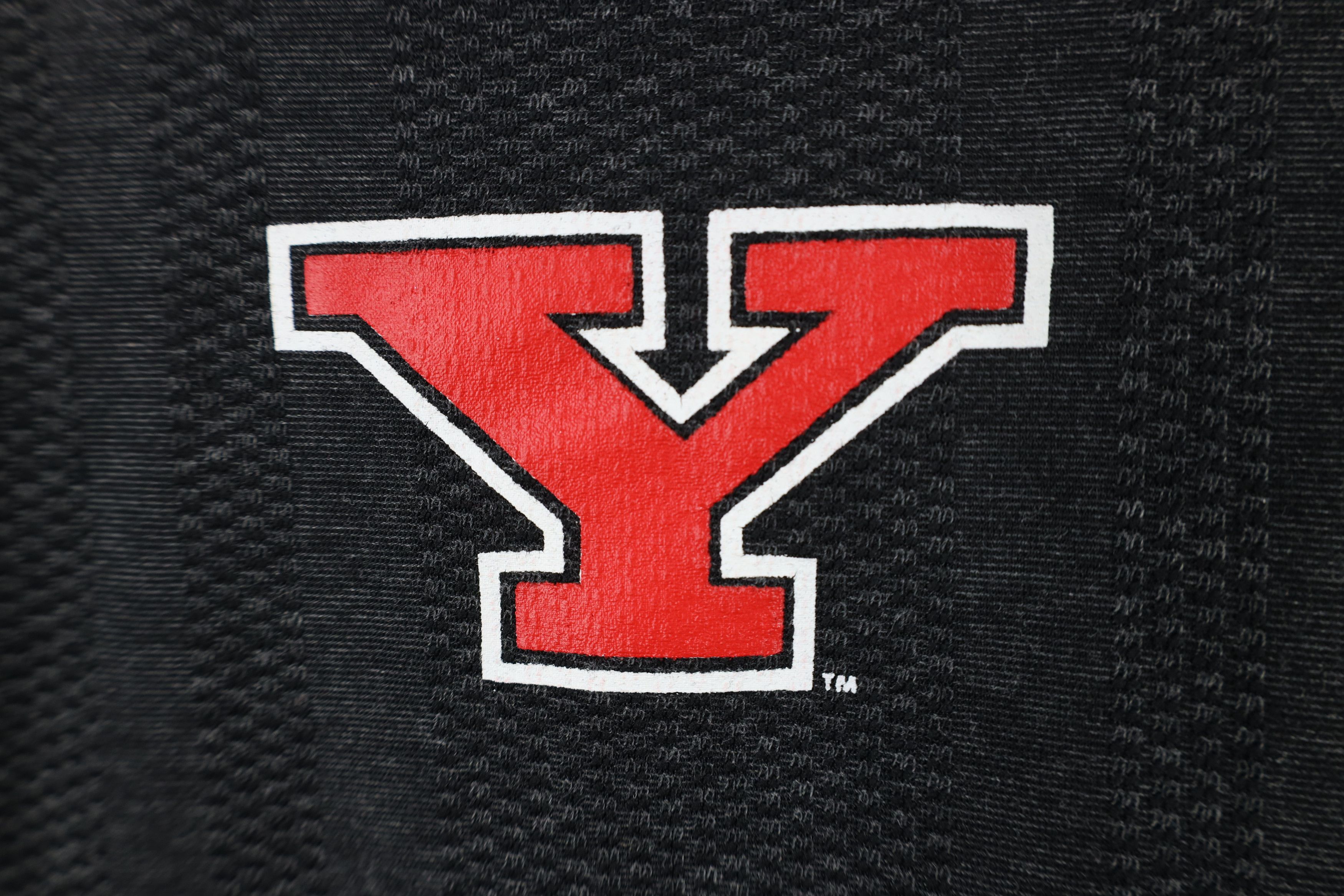 Nike × Vintage Nike Swoosh Youngstown State University Penguins Shirt Size US S / EU 44-46 / 1 - 10 Thumbnail