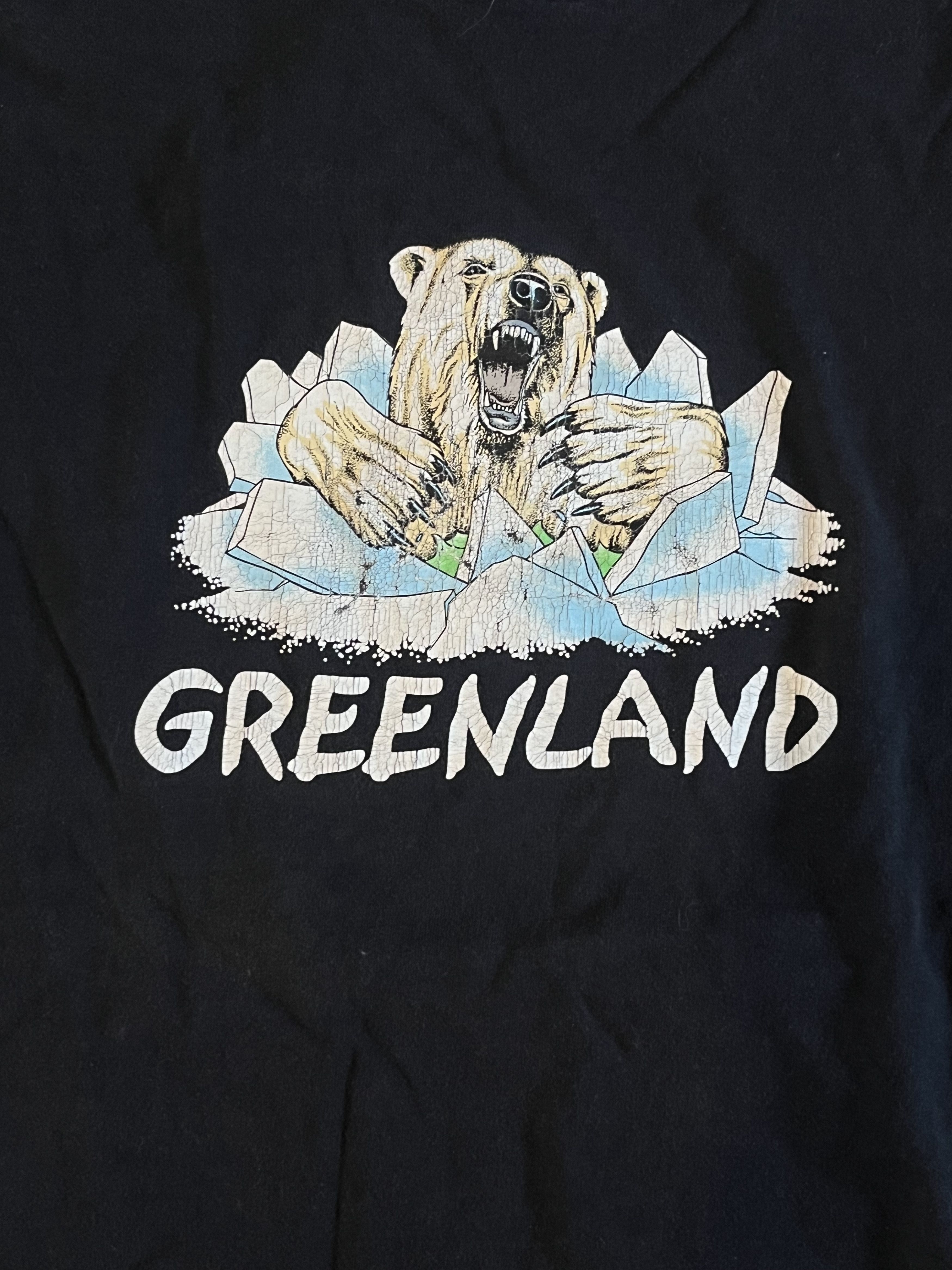 Vintage Vintage 90s Greenland Artic Bear Animals Size US XL / EU 56 / 4 - 4 Thumbnail