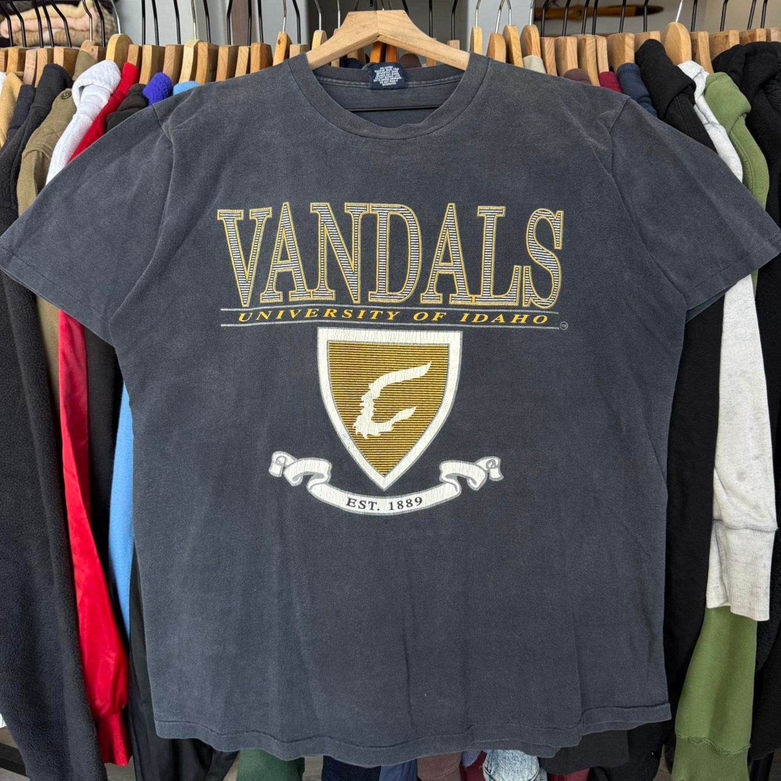 Jansport Vintage 90s Faded University of Idaho Vandals T-Shirt Size US L / EU 52-54 / 3 - 1 Thumbnail