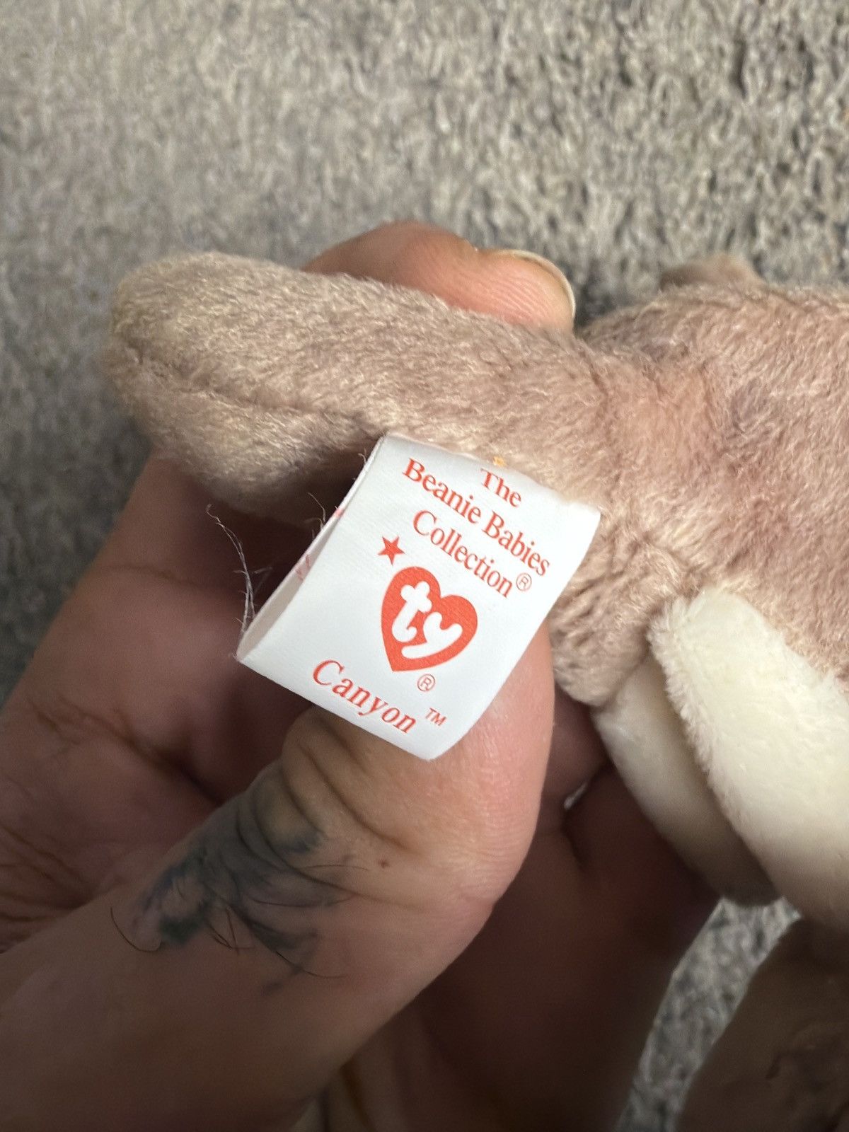 Vintage 1998 Ty Canyon Beanie Baby Size ONE SIZE - 6 Thumbnail