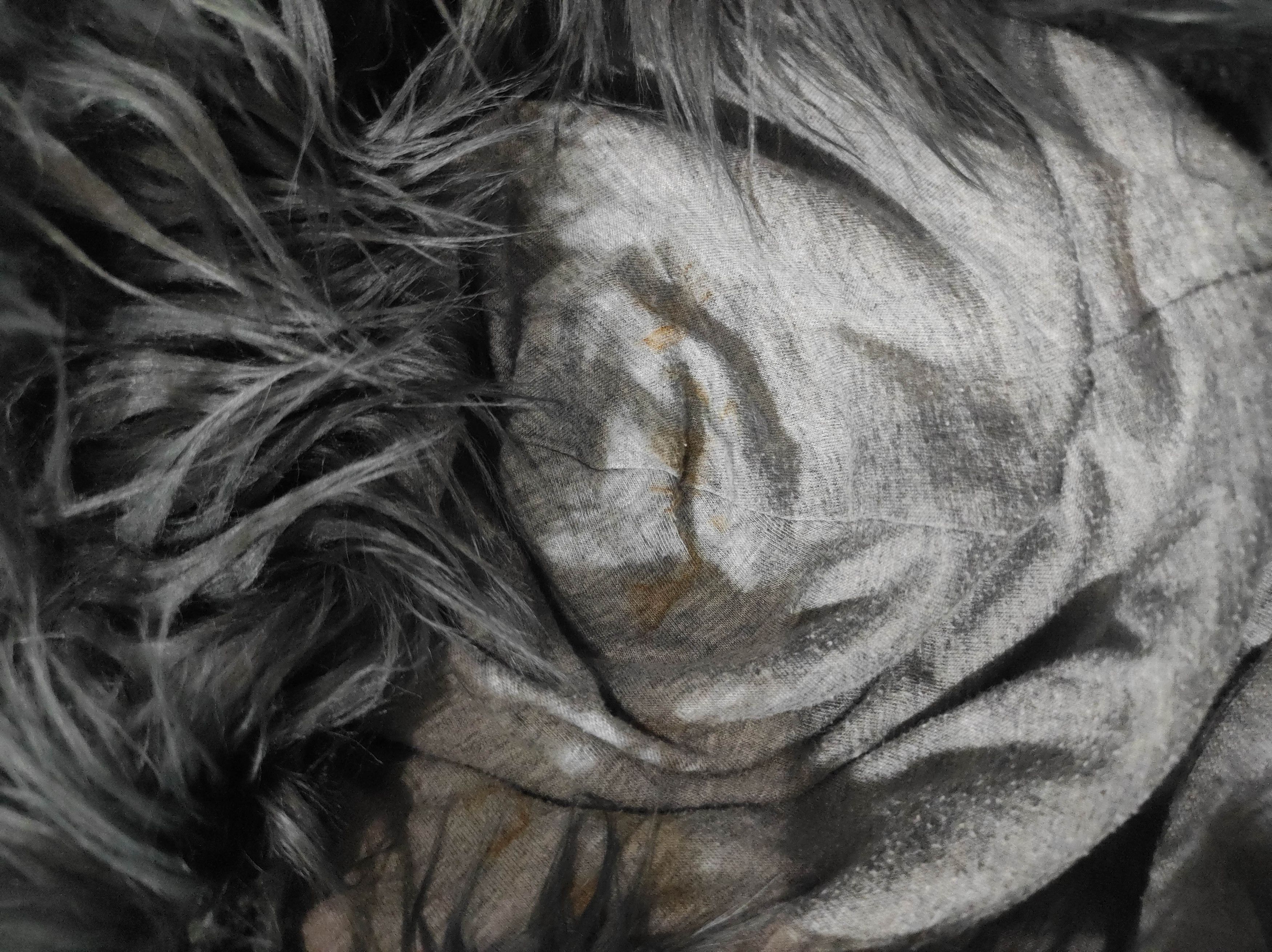 Japanese Brand Oblo Design Cat fur hoodie ifsix LGab style Size US M / EU 48-50 / 2 - 12 Thumbnail