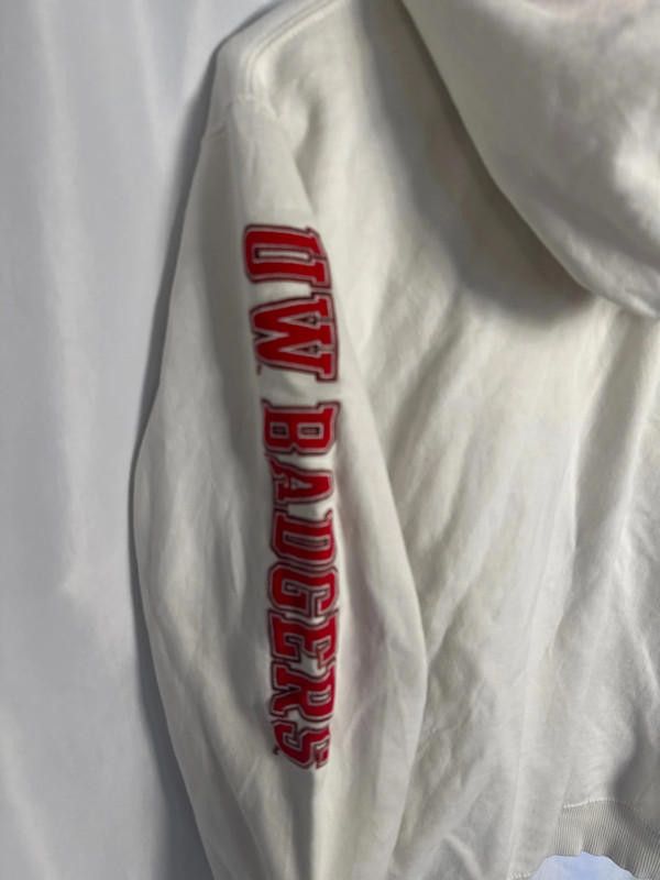 Champion Vintage Champion Wisconsin Hoodie Size US S / EU 44-46 / 1 - 4 Thumbnail