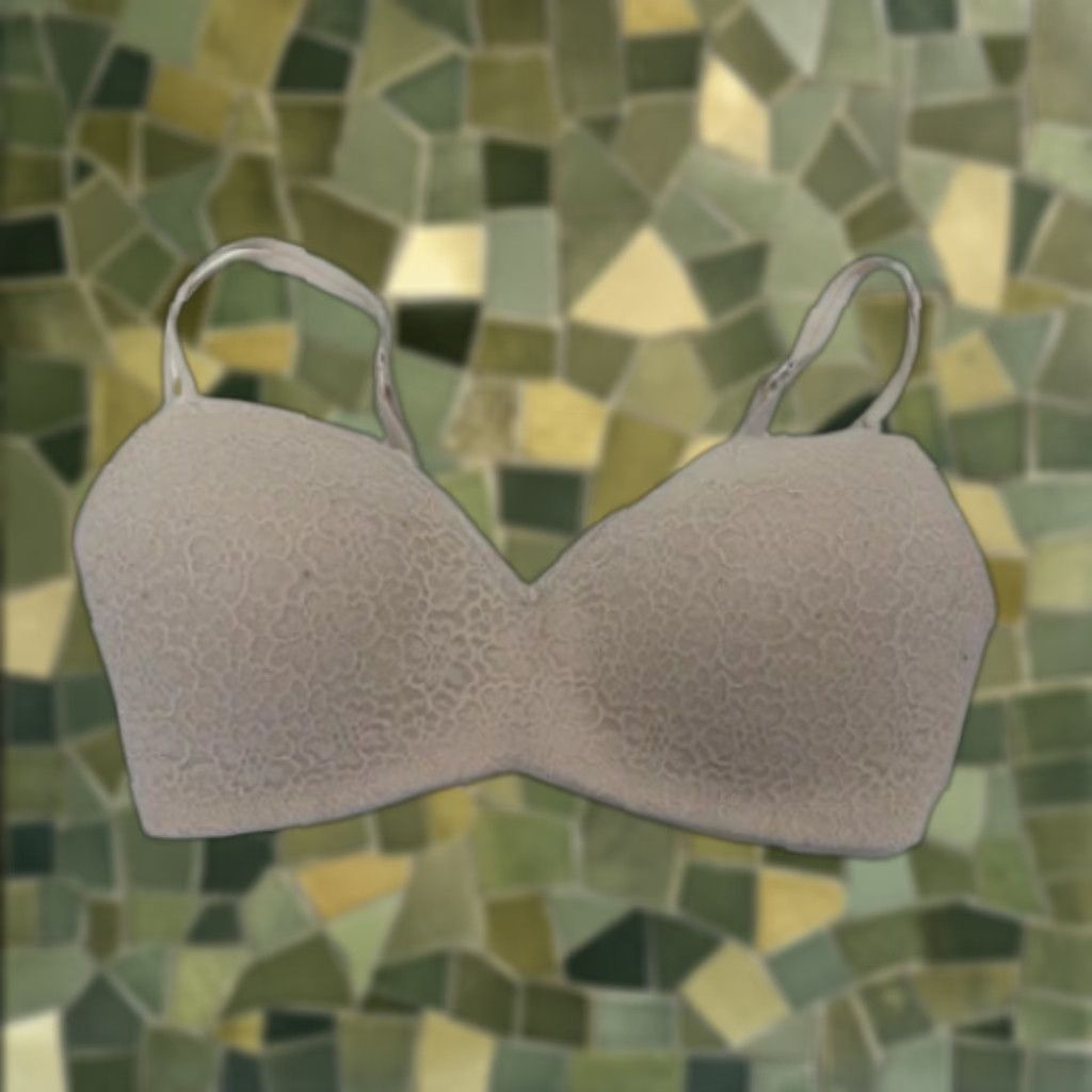 Vintage Aerie Womens Bra Size 34D Tan Floral Lacy Padded Real Happy Wireless Bra in Brown