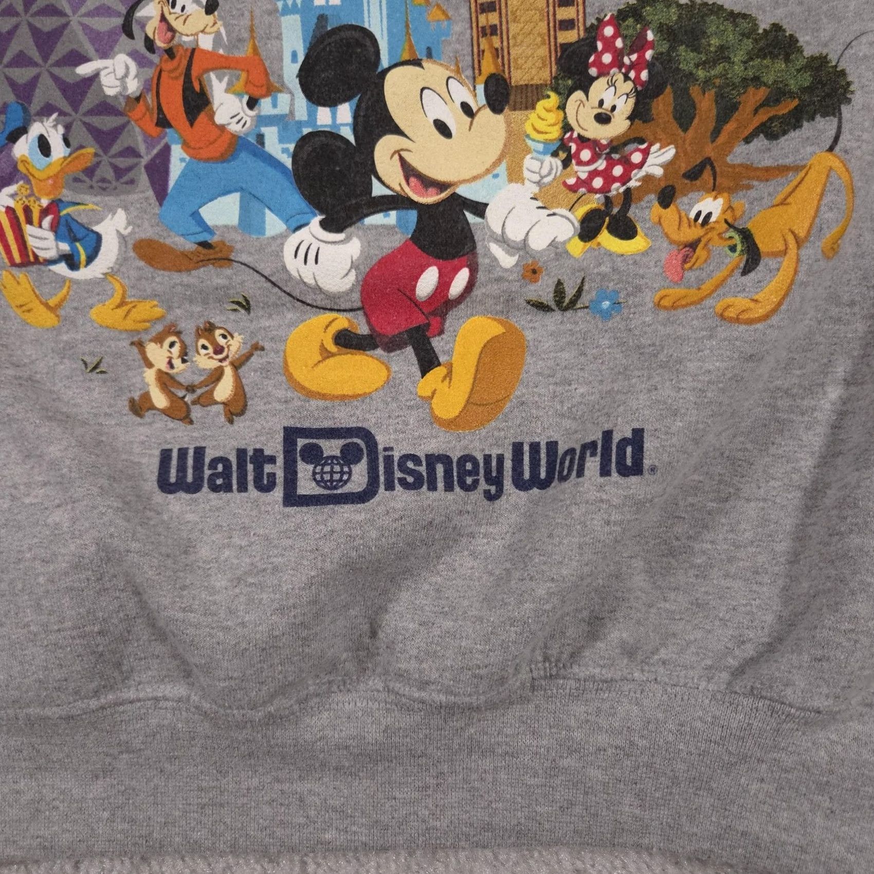 Disney Disney Disney Parks Walt Disney World Sweatshirt Mens M Gray 2019 Mickey Minnie Pullover Graphic Print Cartoon Movie Vintage No Size US M / EU 48-50 / 2 - 4 Thumbnail