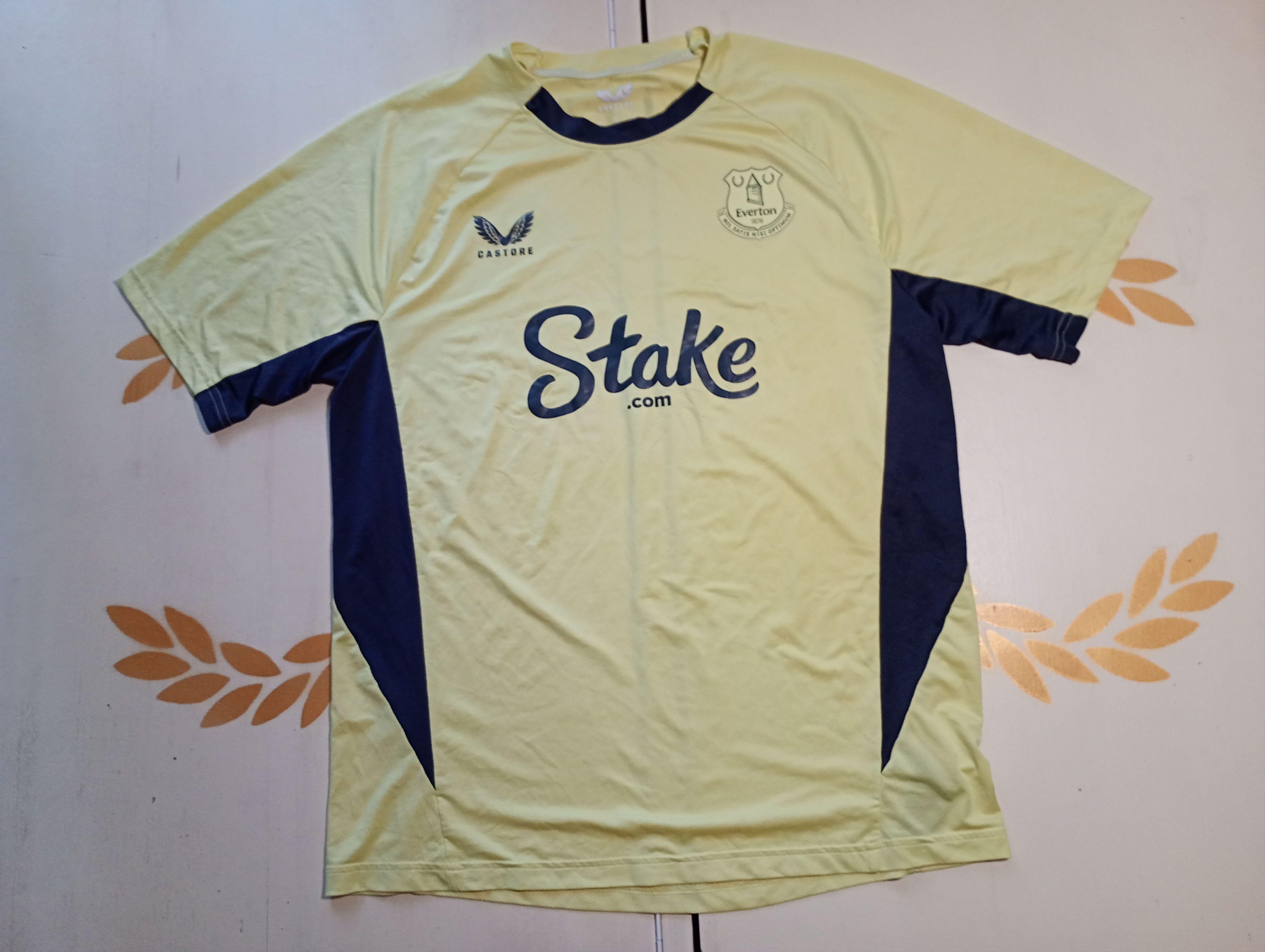 Castore Castore Everton Training Jersey Size US L / EU 52-54 / 3 - 3 Thumbnail