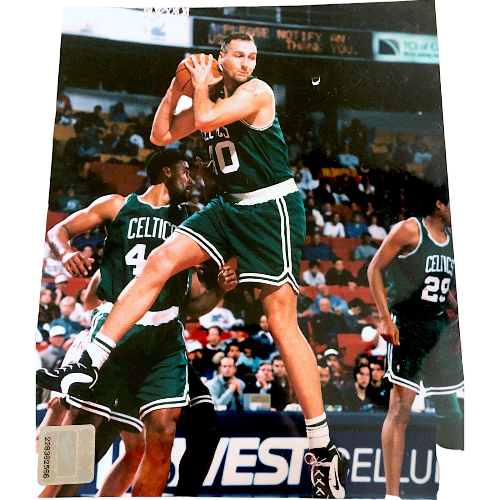 NBA Boston Celtics Dino Radja 8"x10" Photo Size ONE SIZE - 1 Preview