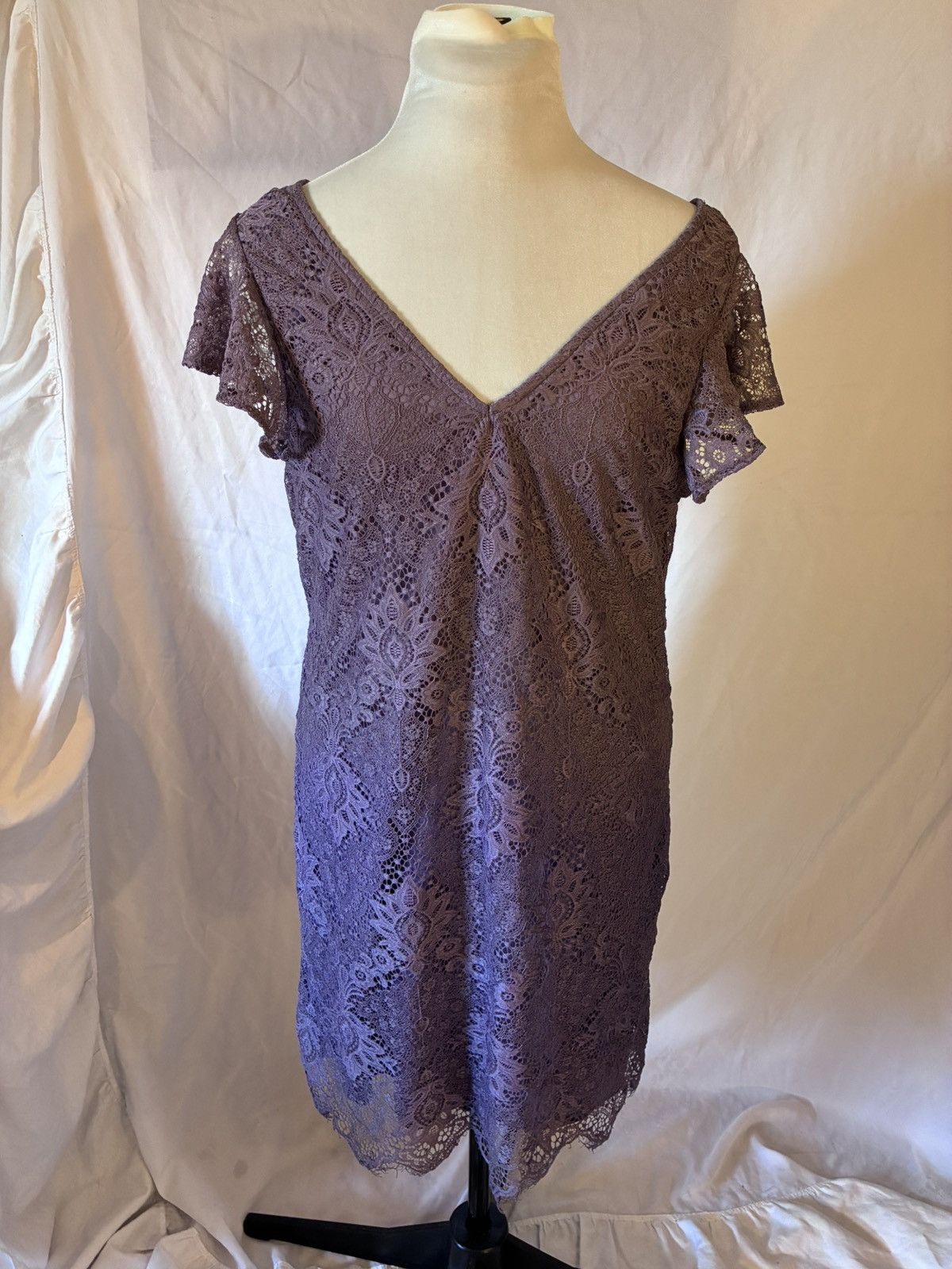 Other Francesca’s Lace Flutter Sleeve Mini Dress Size L / US 10 / IT 46 - 1 Thumbnail