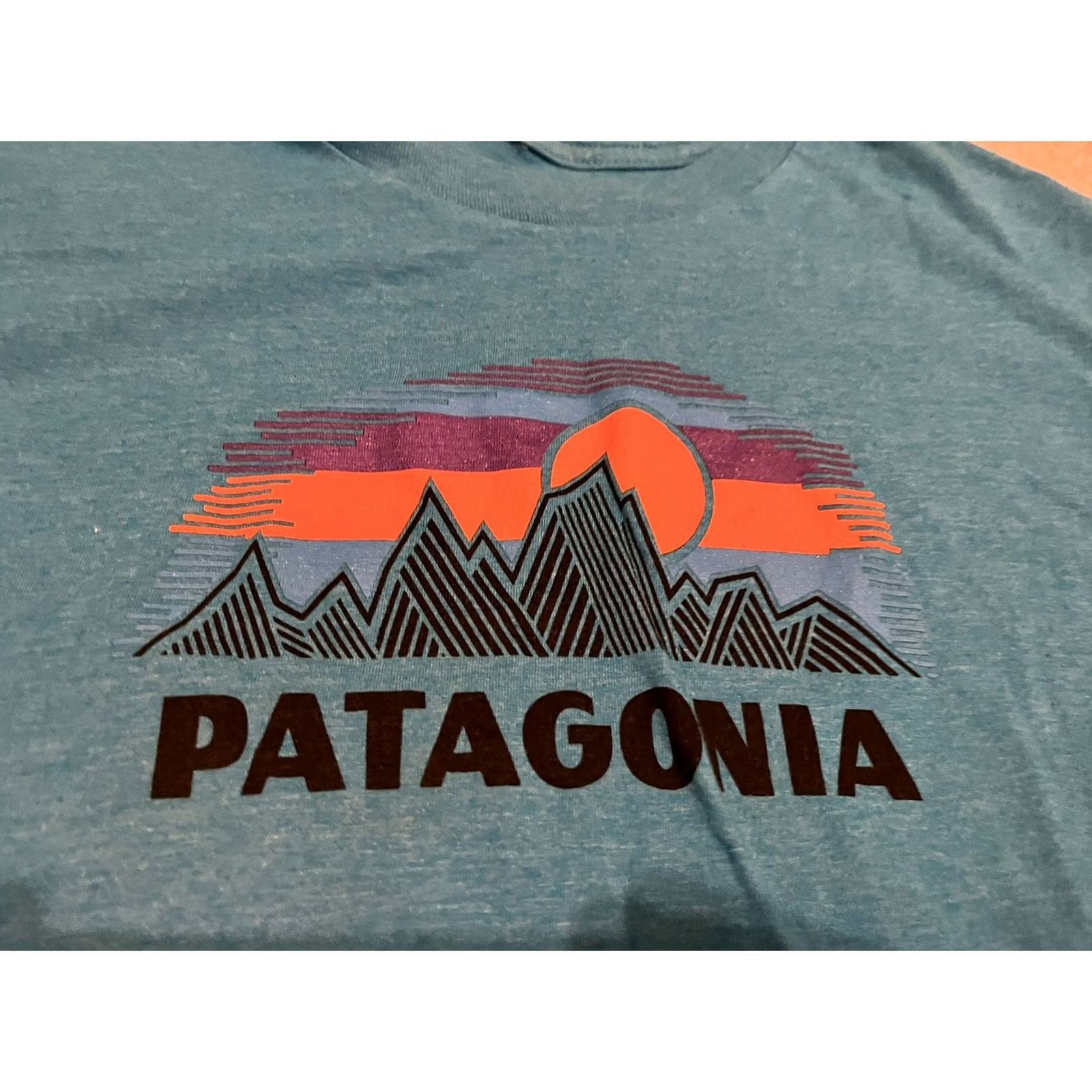 Patagonia Patagonia Blue Short Sleeve Shirt M Slim Fit Crew Neck Men T-Shirt Size US M / EU 48-50 / 2 - 2 Thumbnail