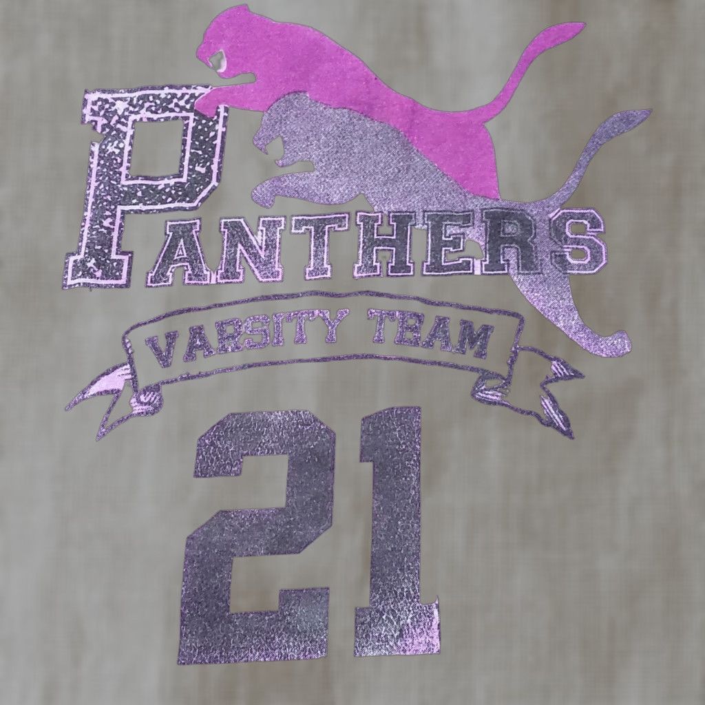 Pinko VINTAGE Panters Varsity Team 21 Pink Long Sleeve Shirt Adult Women's Size S Small Size S / US 4 / IT 40 - 1 Thumbnail