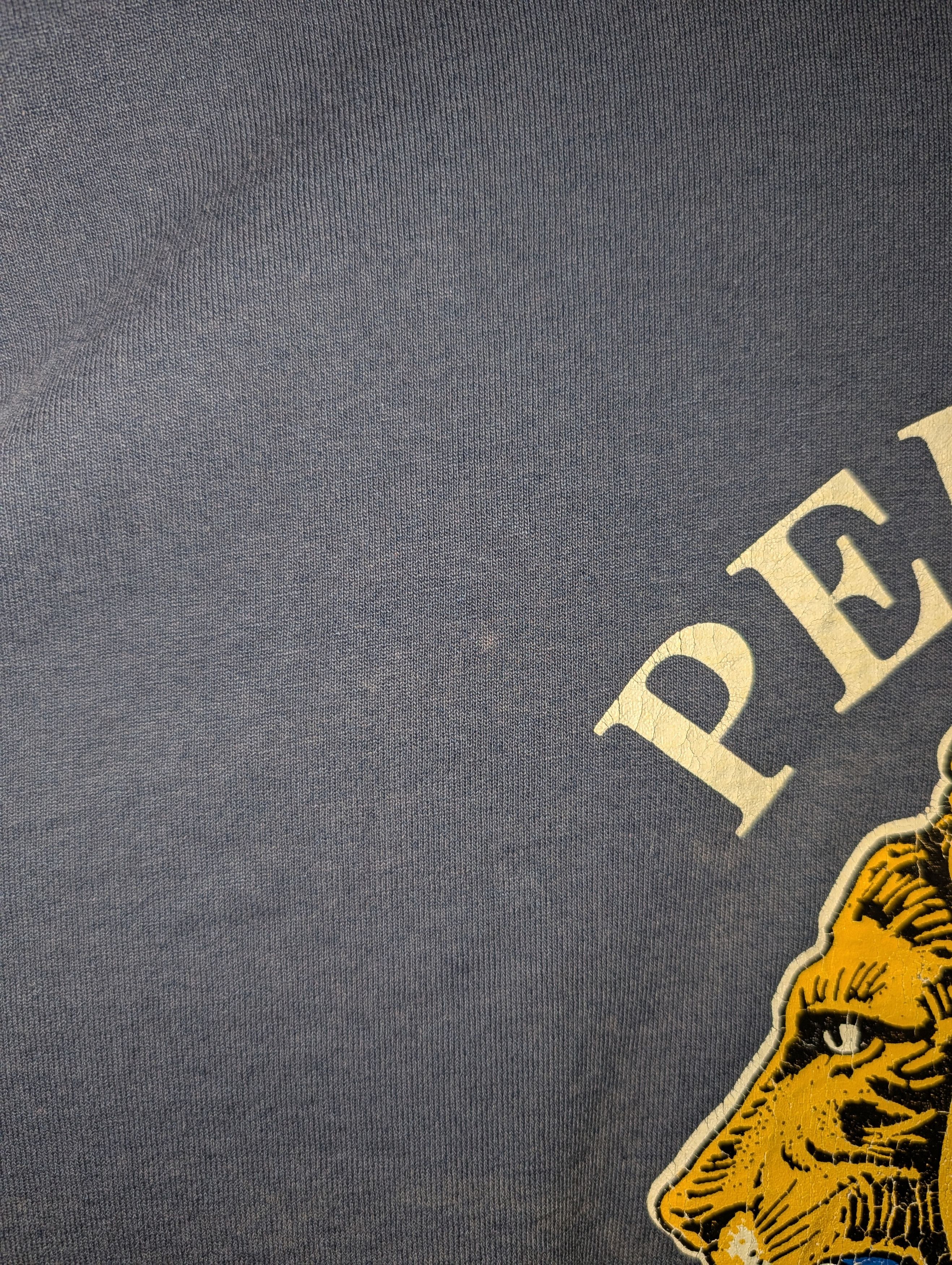 Arts & Science Vintage 90s Pepperell Lions Club Massachusetts T-Shirt Size US L / EU 52-54 / 3 - 5 Thumbnail