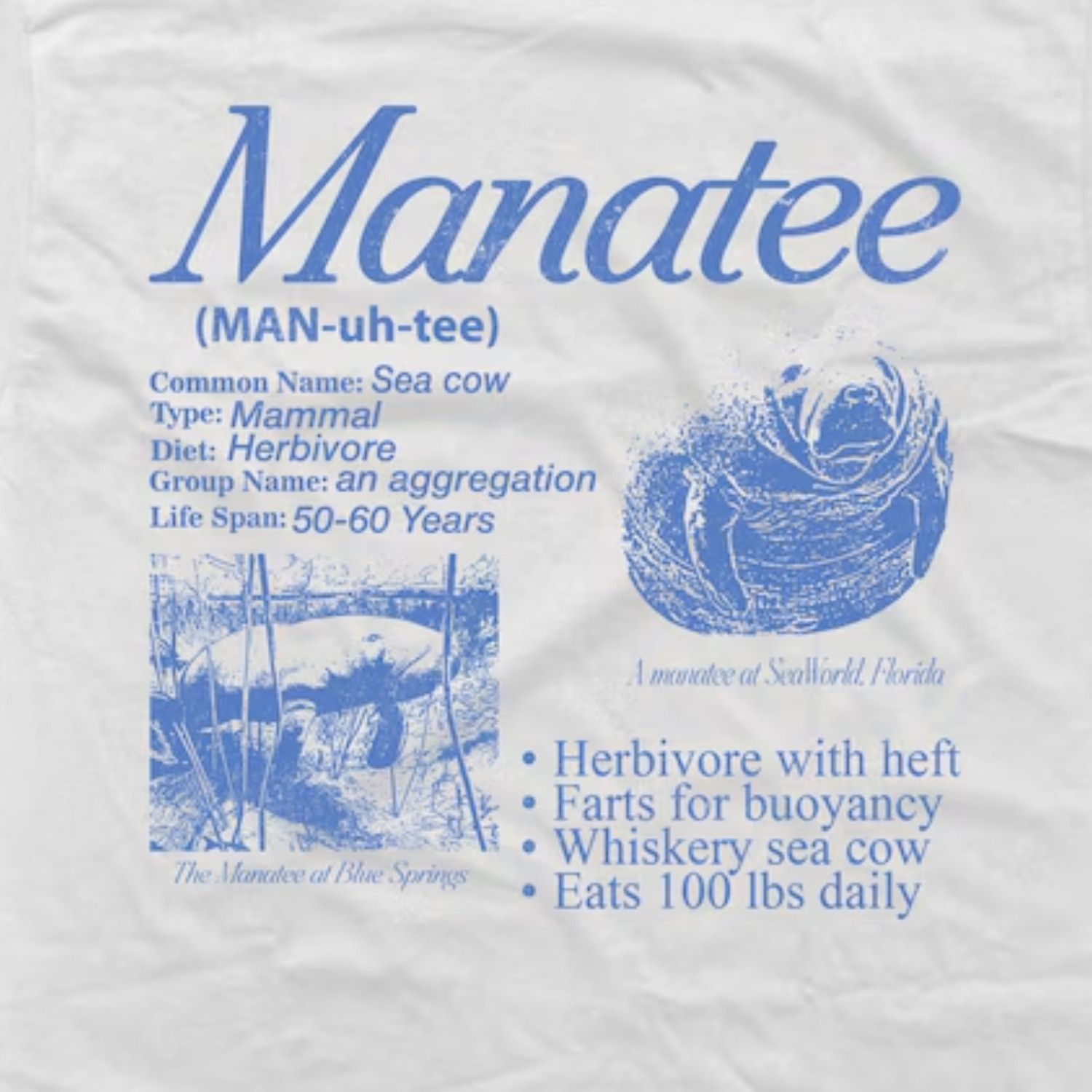 Japanese Brand Manatee Vintage 90s Graphic T-Shirt, Retro Sea Cow Tee Size US L / EU 52-54 / 3 - 2 Thumbnail