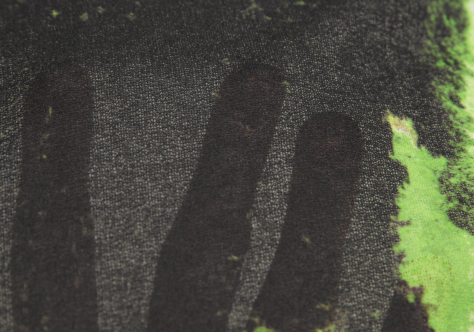 Jean Paul Gaultier Floral Print Large Scarf in Green and Black Size ONE SIZE - 7 Thumbnail