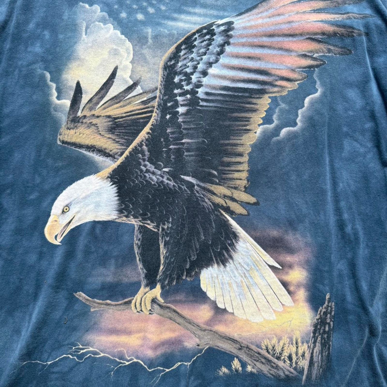 The Mountain Vintage Eagle The Mountain Graphic Tee Size US L / EU 52-54 / 3 - 2 Thumbnail