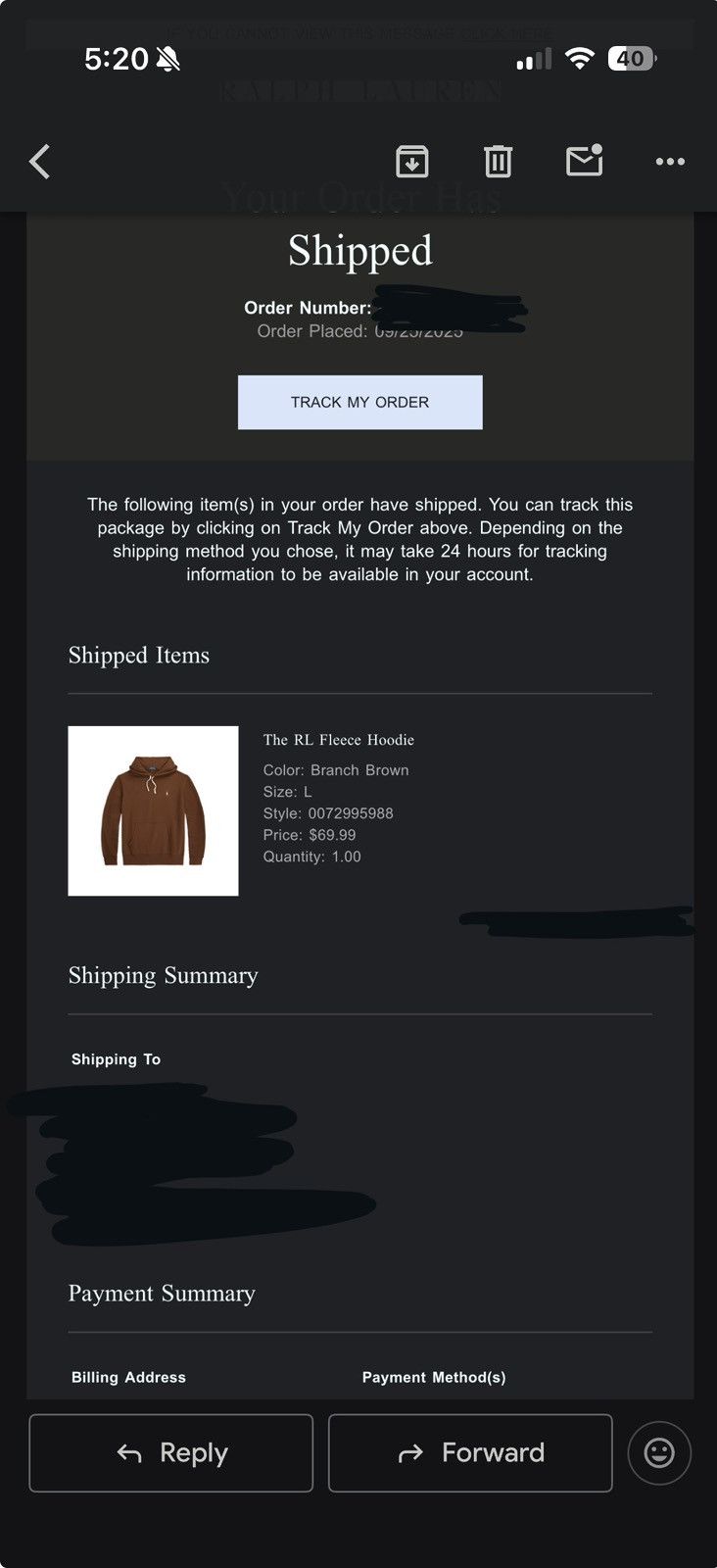 Polo Ralph Lauren RL Hoodie Branch Brown Size US L / EU 52-54 / 3 - 2 Thumbnail