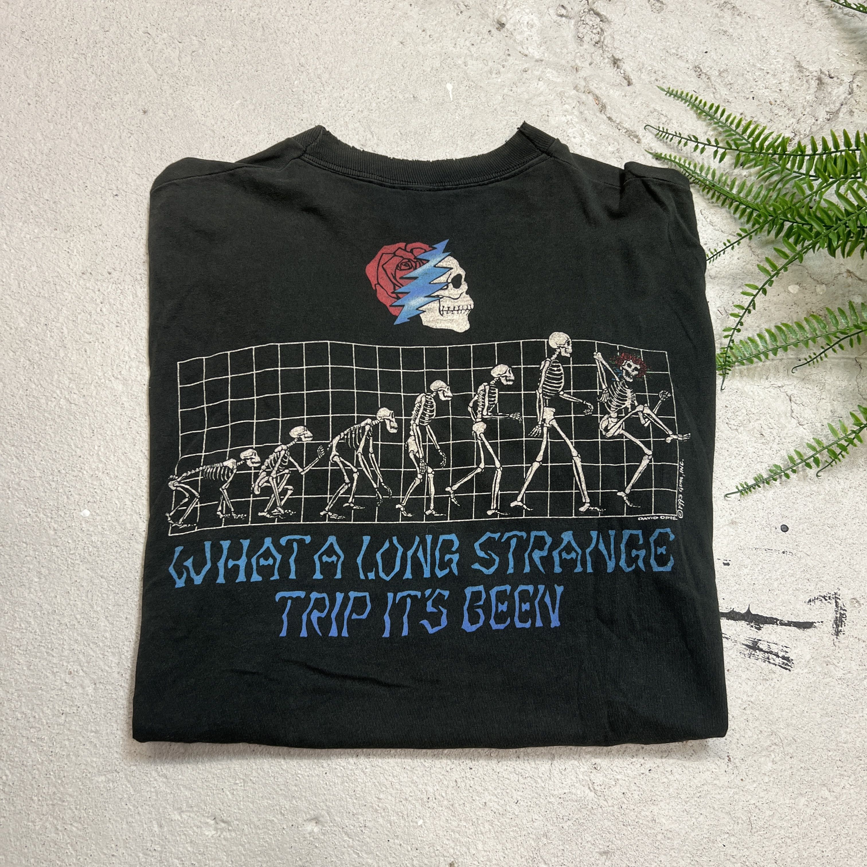 Grateful Dead × Vintage 1993 Grateful Dead Evolution Promo Band Tee Deadhead Size US XL / EU 56 / 4 - 2 Thumbnail