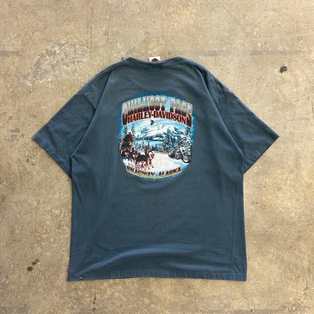 Harley Davidson Vintage Harley Davidson Alaska Tee XL Size US XL / EU 56 / 4 - 2 Thumbnail
