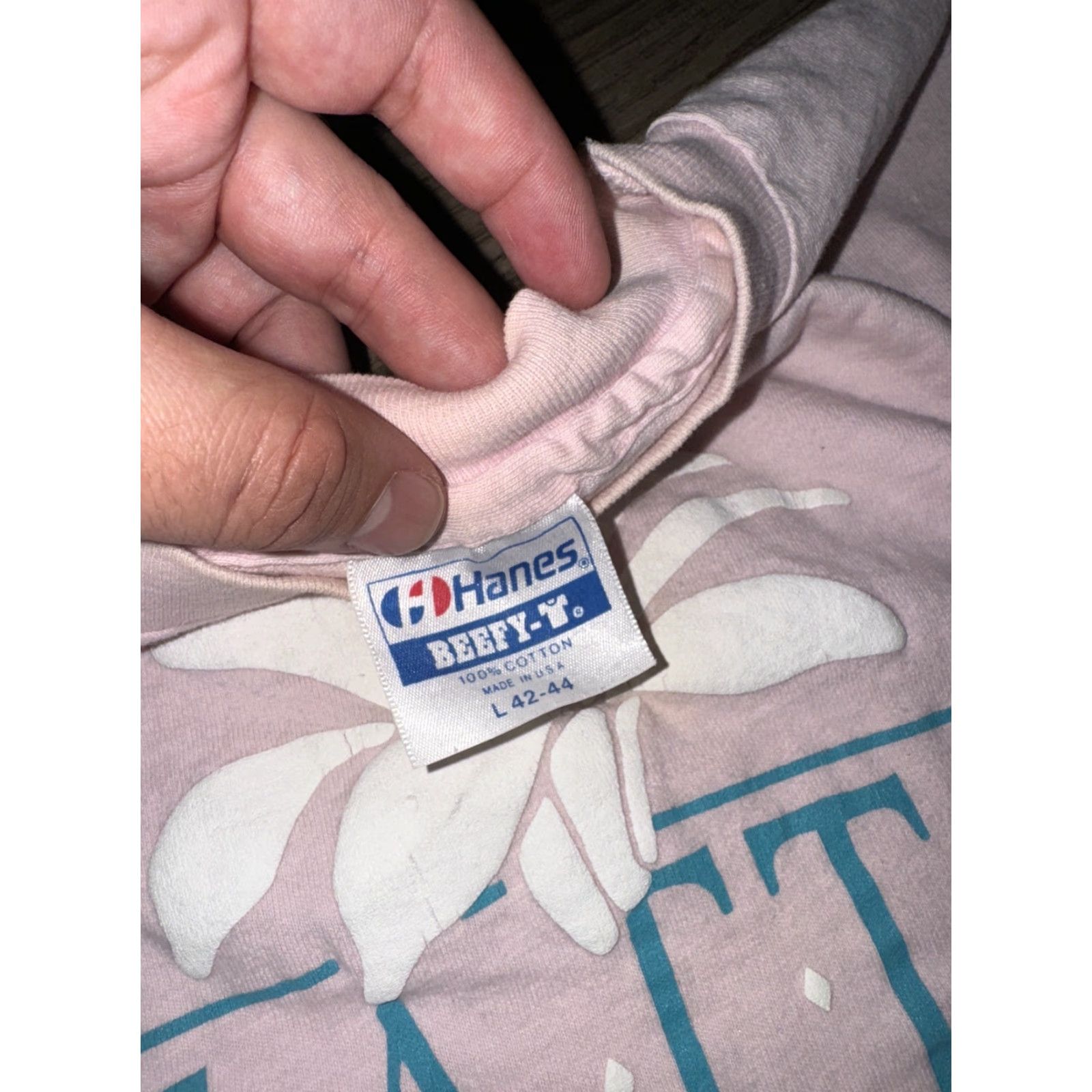 Hanes VINTAGE Hanes Beefy T-Shirt Stitch USA Pink Large Size US L / EU 52-54 / 3 - 4 Thumbnail