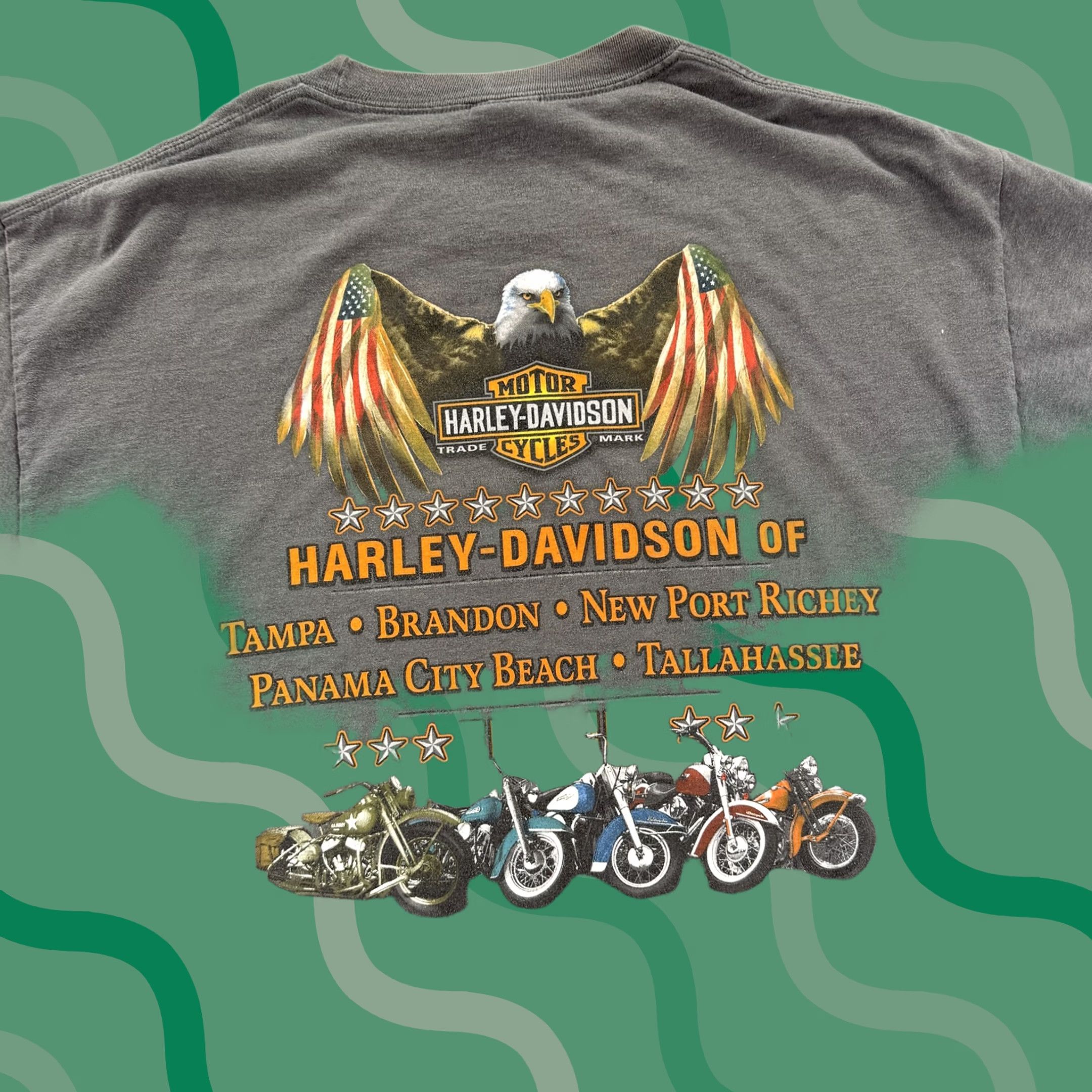 Harley Davidson Harley-Davidson Shirt Mens XL Gray Florida Eagle Motorcycle Biker Tampa Brandon Crew Neck Short Sleeve T-Shirt Graphic Print Size US XL / EU 56 / 4 - 1 Thumbnail