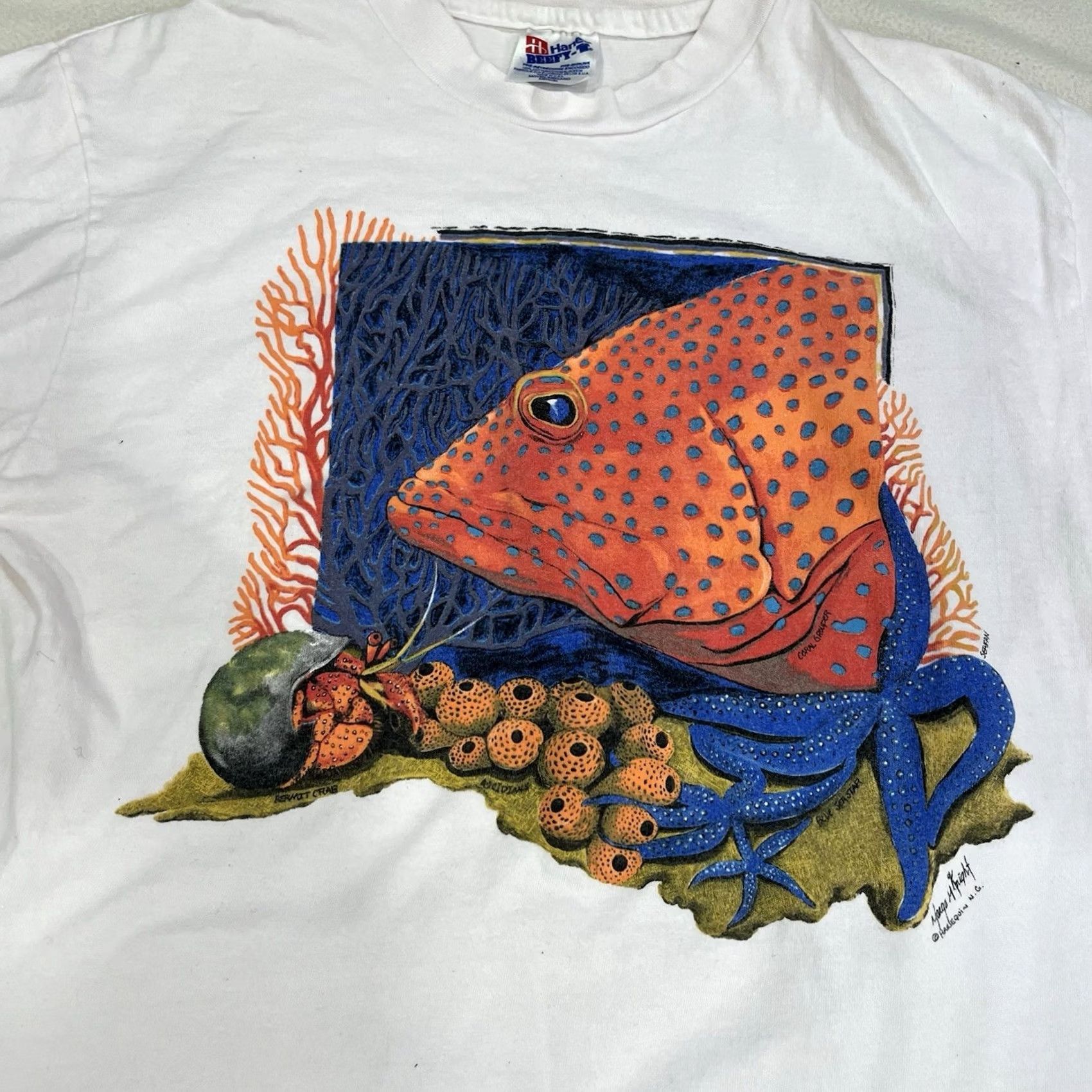 Hanes VINTAGE 90s Hanes Beefy-T T-Shirt Short Sleeve Crew Neck White M Men Salt Marsh Outer Banks NC Crab Animal Graphic Print 90s Polyester-Free Cotton USA Size US M / EU 48-50 / 2 - 3 Thumbnail