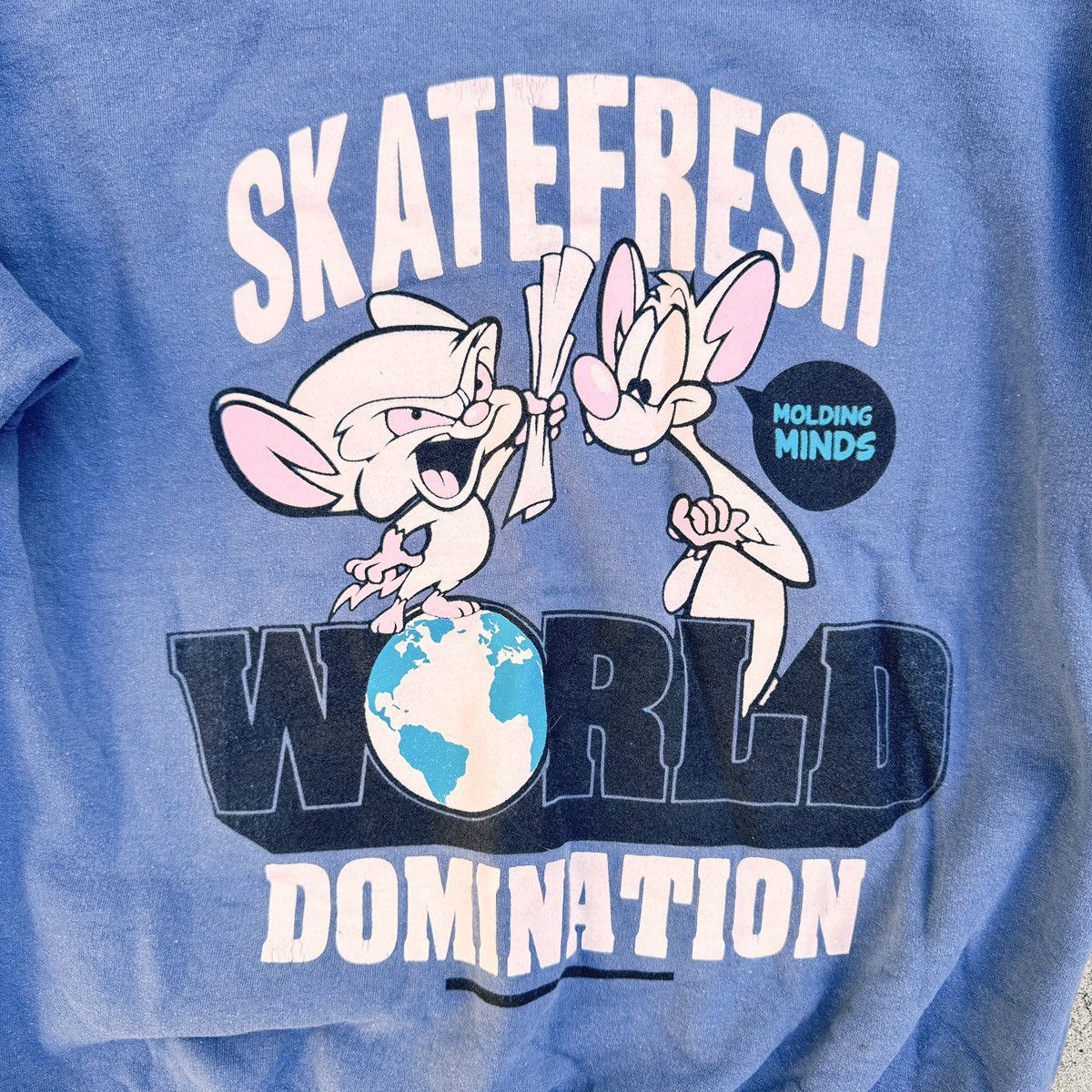 Other × Vintage Skatefresh x Pinky and the Brain “World Domination” Crewneck Size US S / EU 44-46 / 1 - 2 Thumbnail