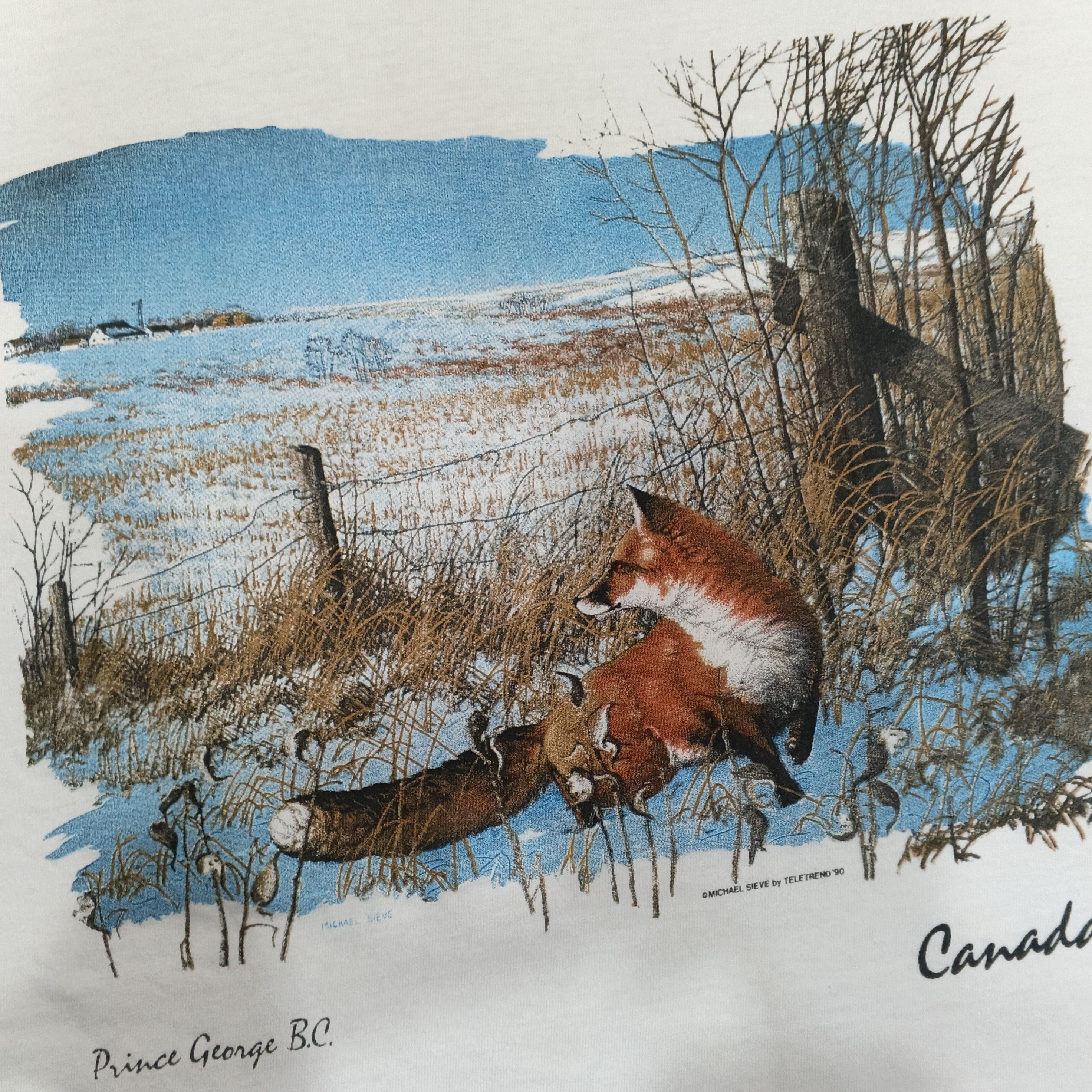 Habitat Vintage 90s Single Stitch Art Canada Michael Sieve Tshirt Size US L / EU 52-54 / 3 - 6 Thumbnail
