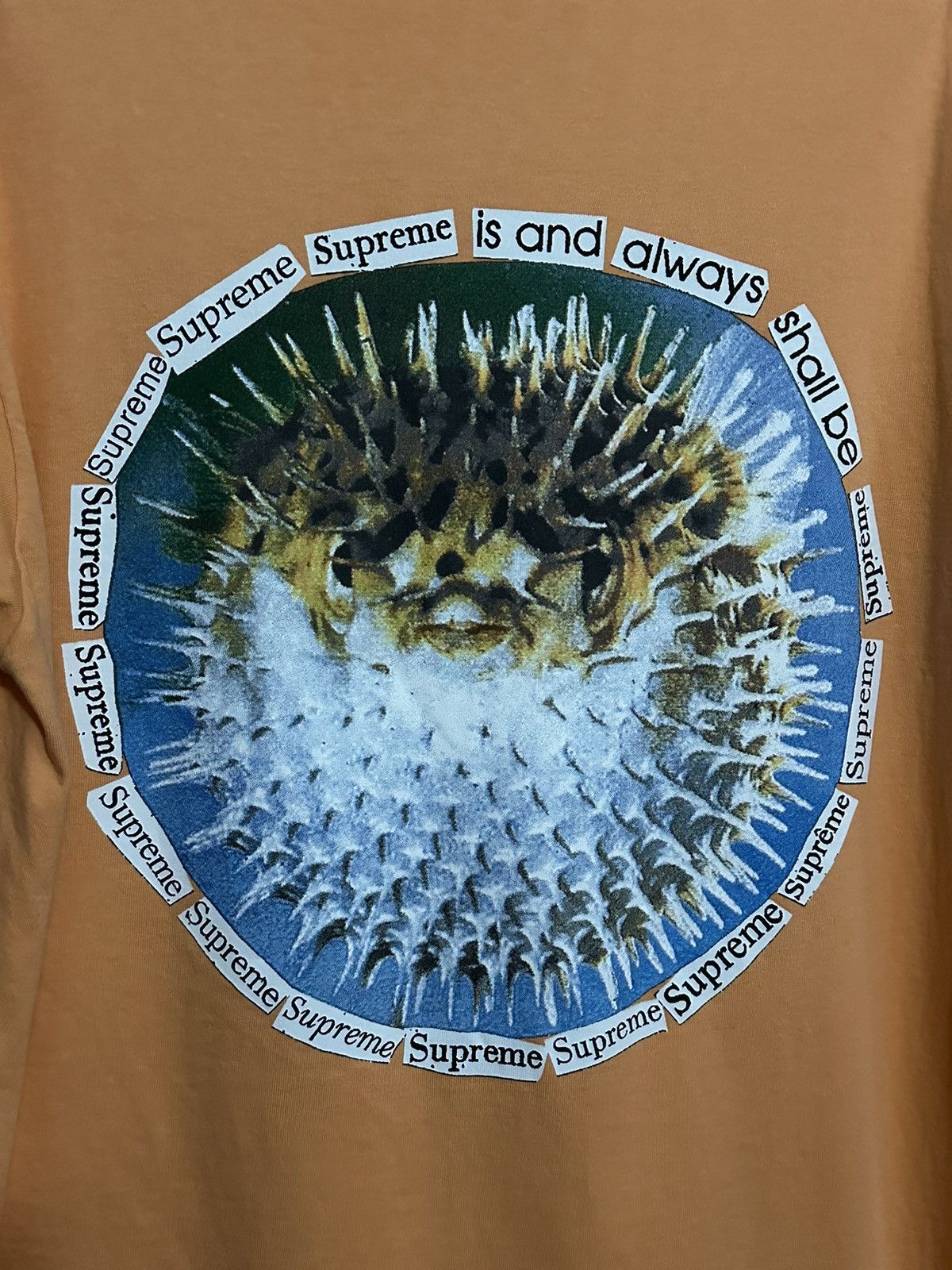 Supreme Supreme Blowfish Tee Size US M / EU 48-50 / 2 - 2 Thumbnail