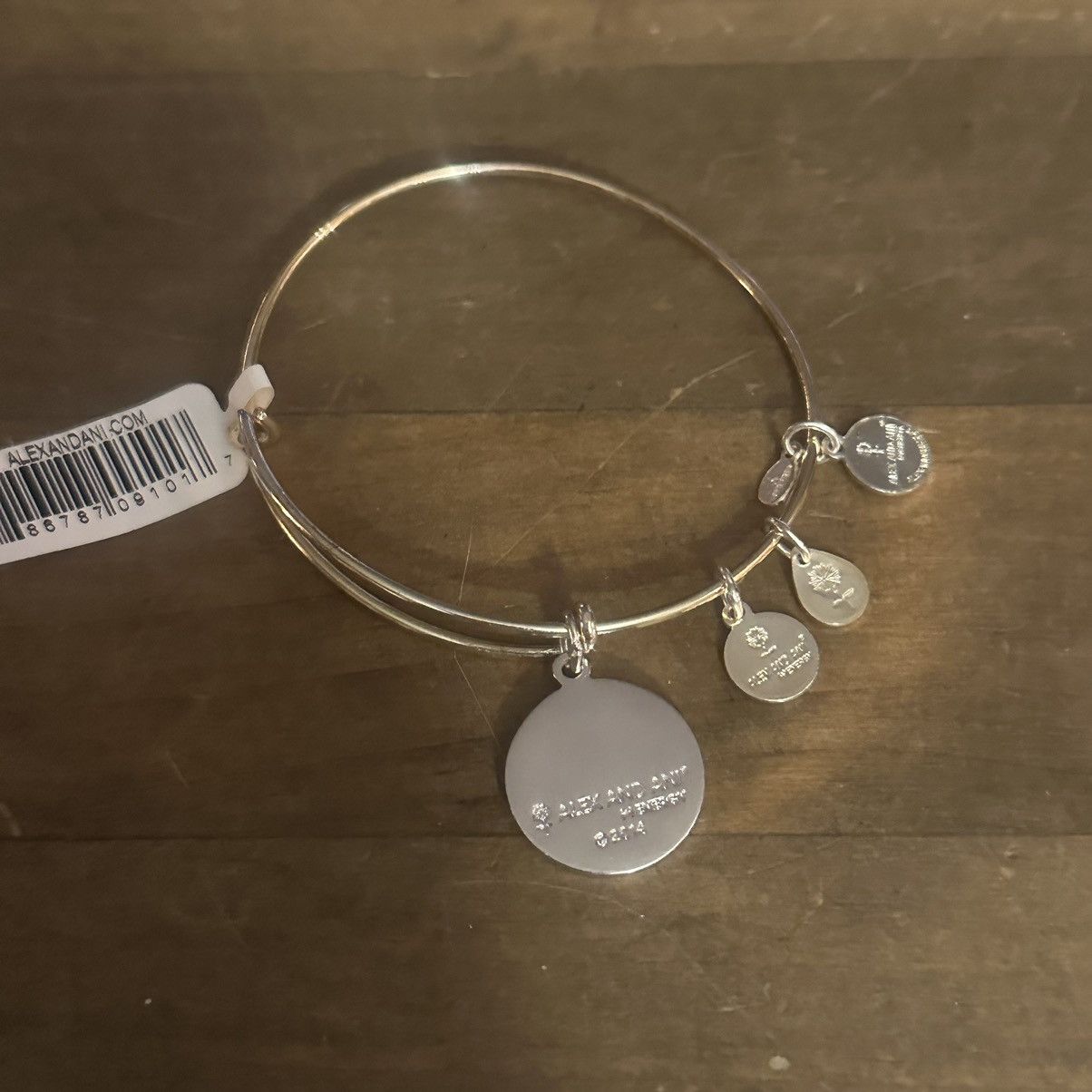 Other Alex and Ani Color Infusion Path of Life bangle bracelet Size ONE SIZE - 3 Thumbnail