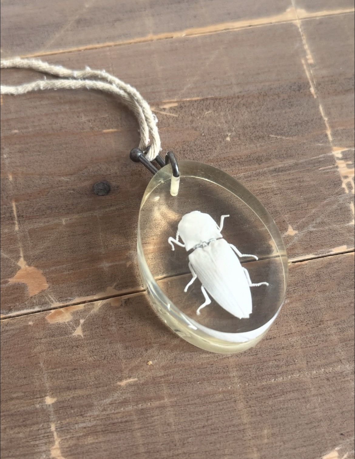 Maison Margiela Margiela Beetle Necklace Size ONE SIZE - 1 Thumbnail