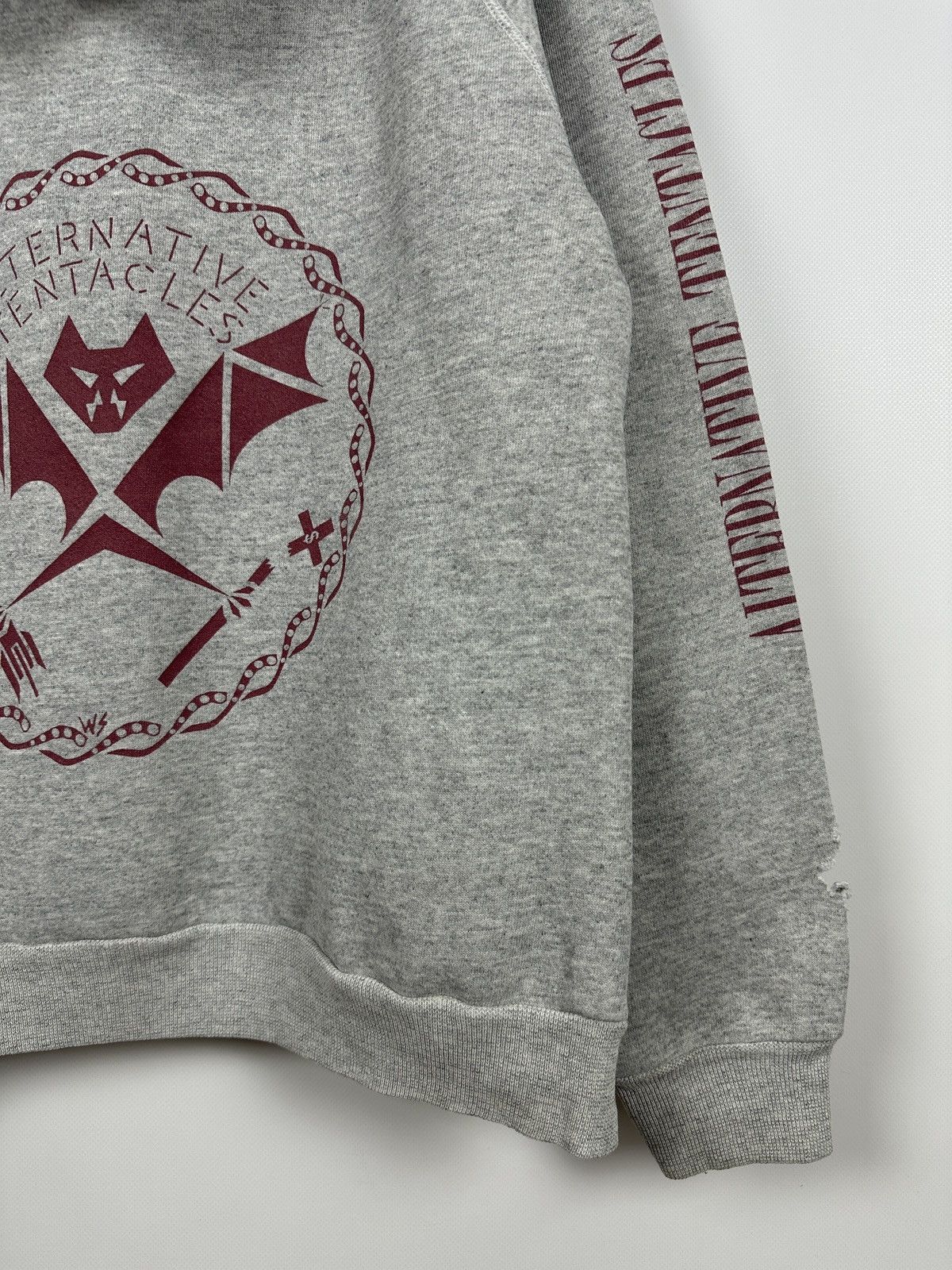 Band Tees 90s Vintage Alternative Tentacles Dead Kennedys Band Hoodie Size US L / EU 52-54 / 3 - 15 Thumbnail