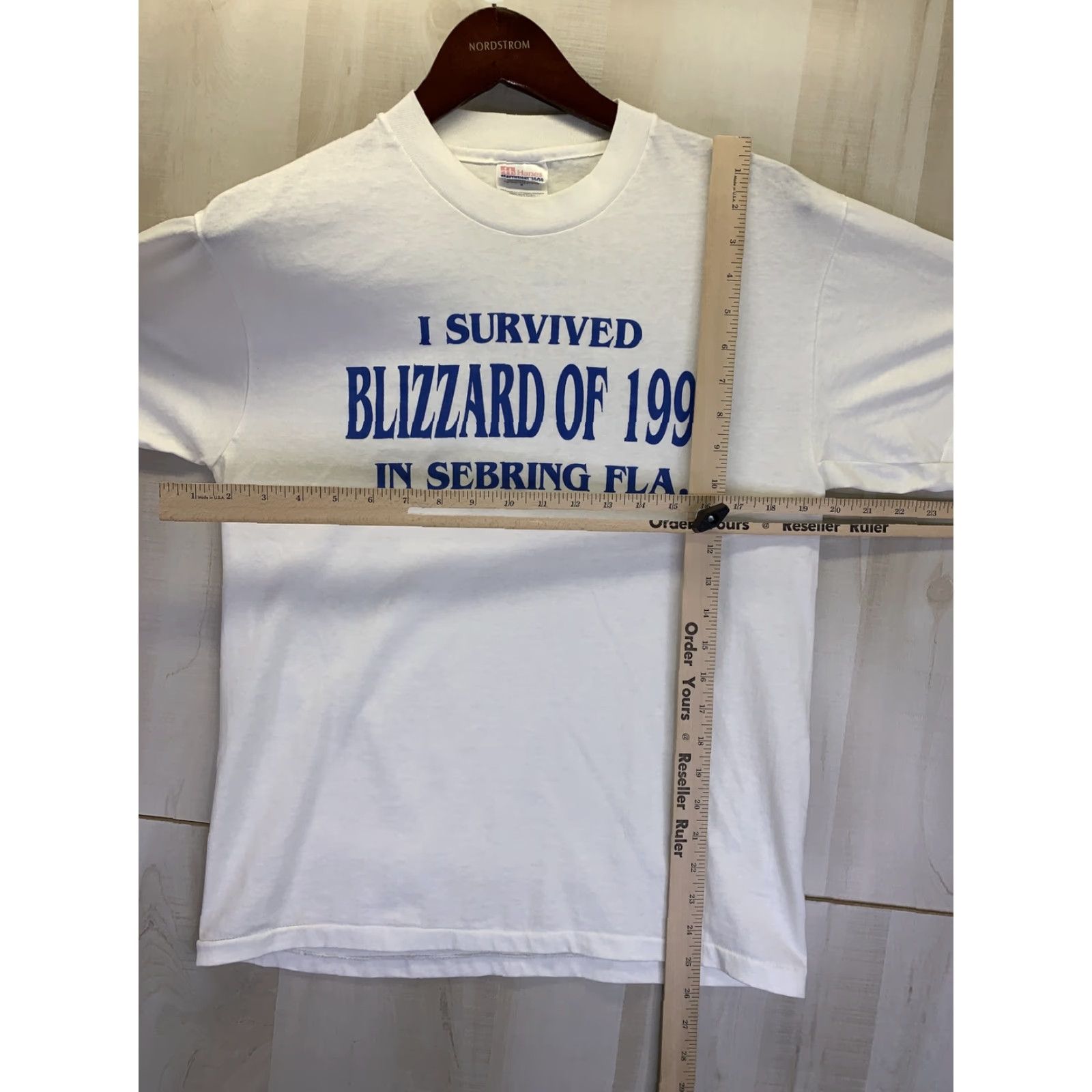 Hanes VINTAGE I Survived The Blizzard Of 96 Sebring FLA Mens T Shirt M White Hanes Shirt Mens 1990s Blizzard 96 Size US M / EU 48-50 / 2 - 2 Thumbnail