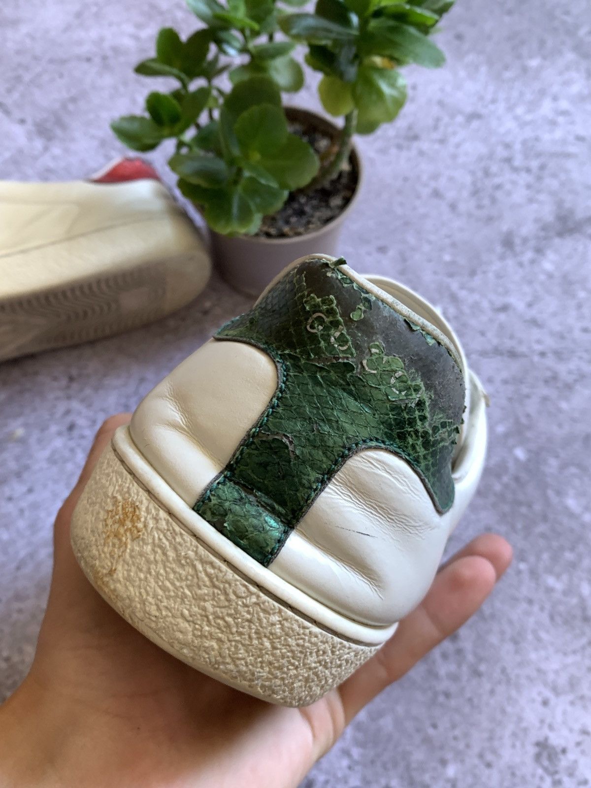 Gucci 🔥GUCCI ACE SNEAKERS Size US 9 / EU 42 - 7 Thumbnail