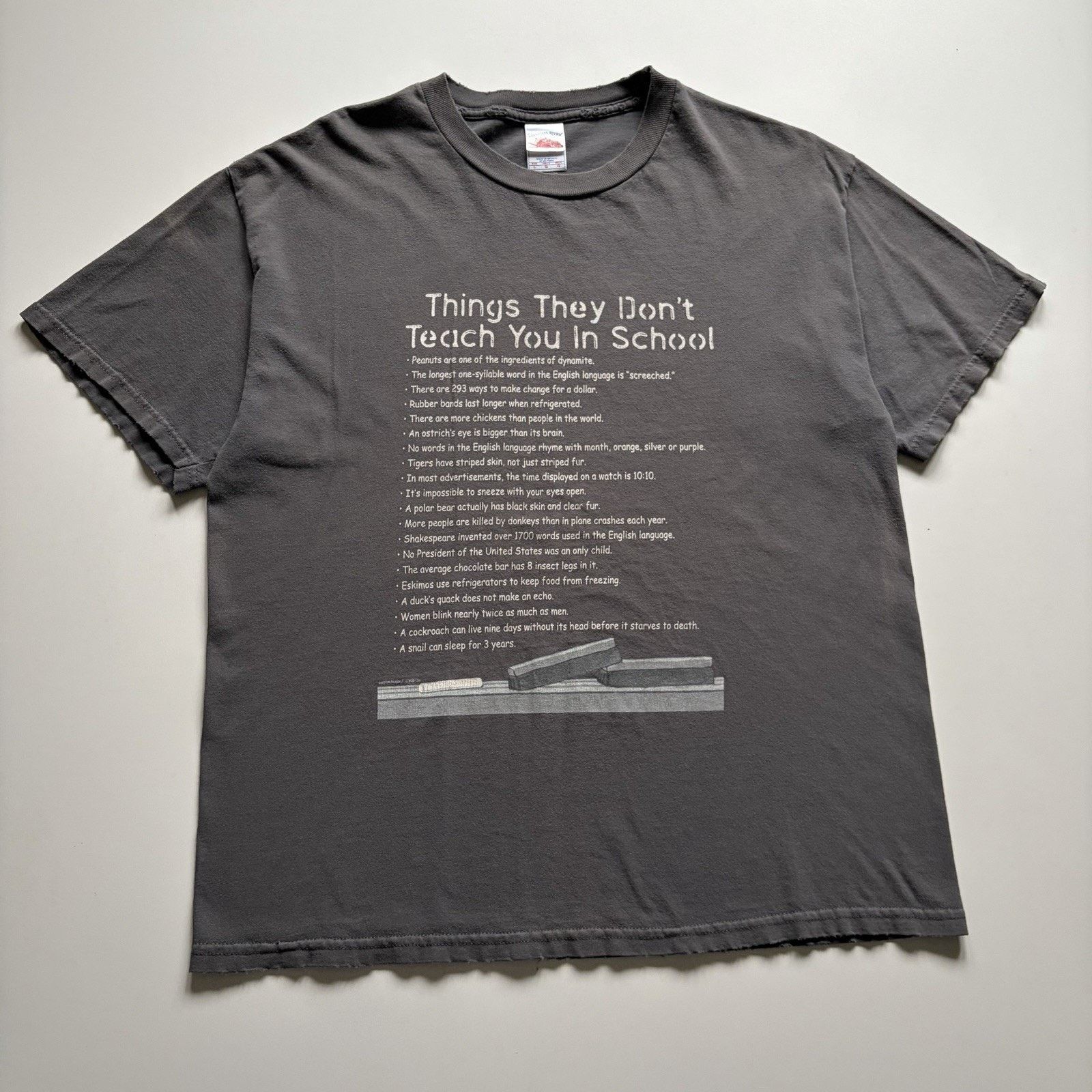 Vintage Things They Don’t Teach You In School Shirt Large