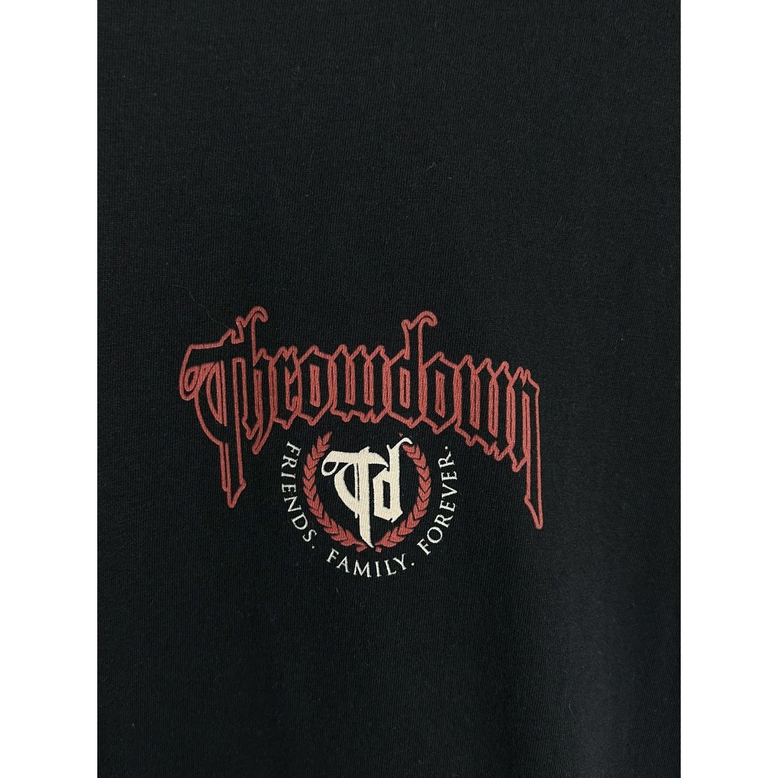 Band Tees Throwdown American Heavy Metal Band For My Family T-Shirt Size US S / EU 44-46 / 1 - 4 Thumbnail