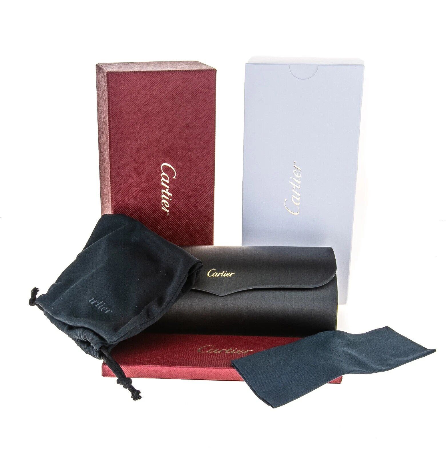 Cartier CARTIER Santos Dumont Screw CT0035RS Aviator Sunglasses 0035 Size ONE SIZE - 9 Thumbnail